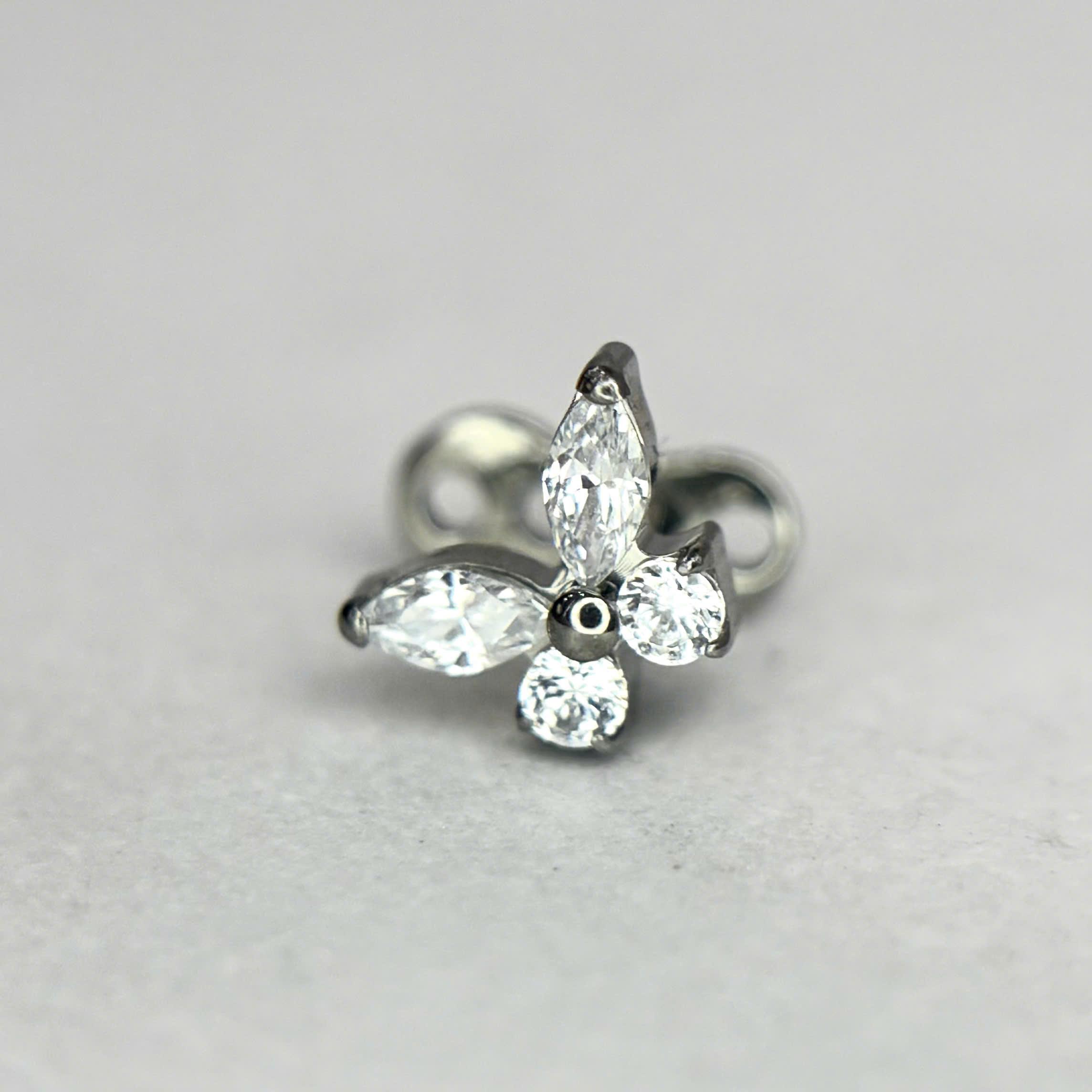 Khuyên cấy titan bướm cánh bè