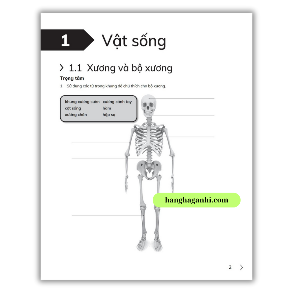 Cambridge Song Ngữ bậc Tiểu học – KHOA HỌC – Sách bài tập 4 – Quyển 1&2_thumbnail_6