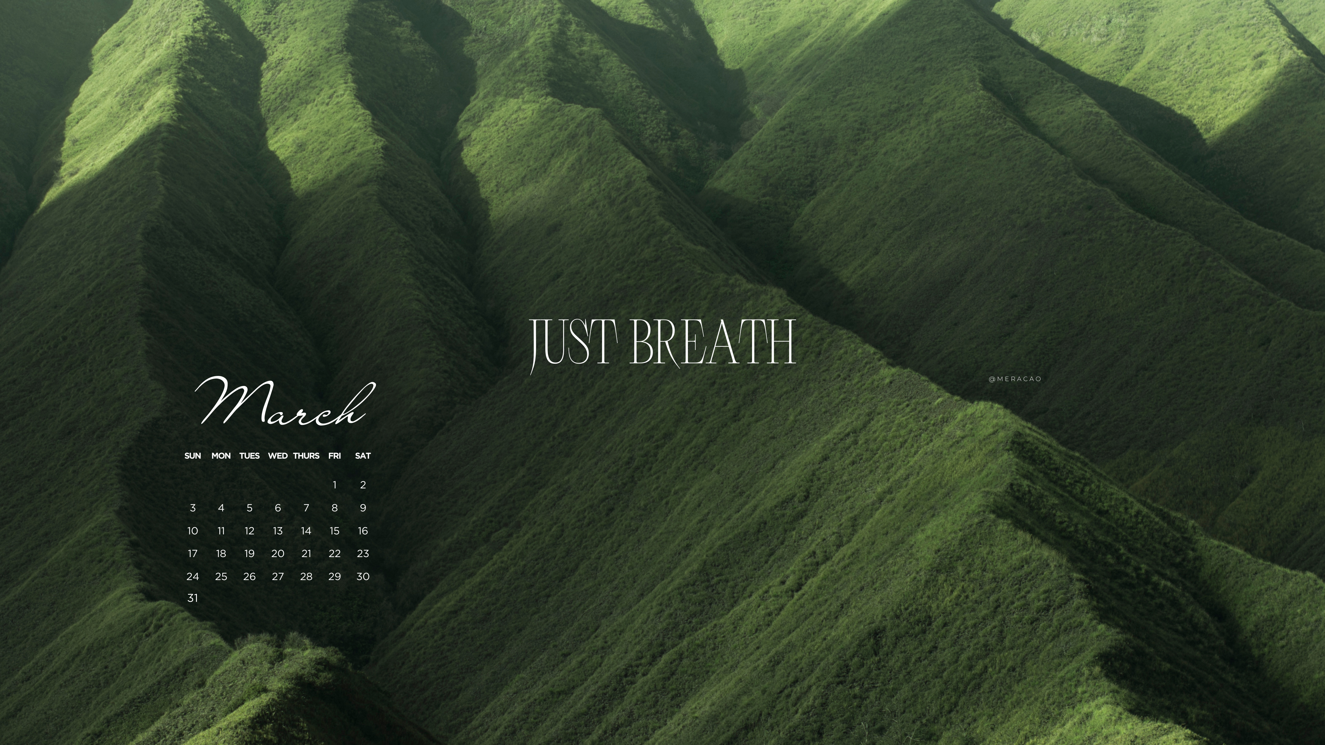 Áo nhung phối khóa cổ