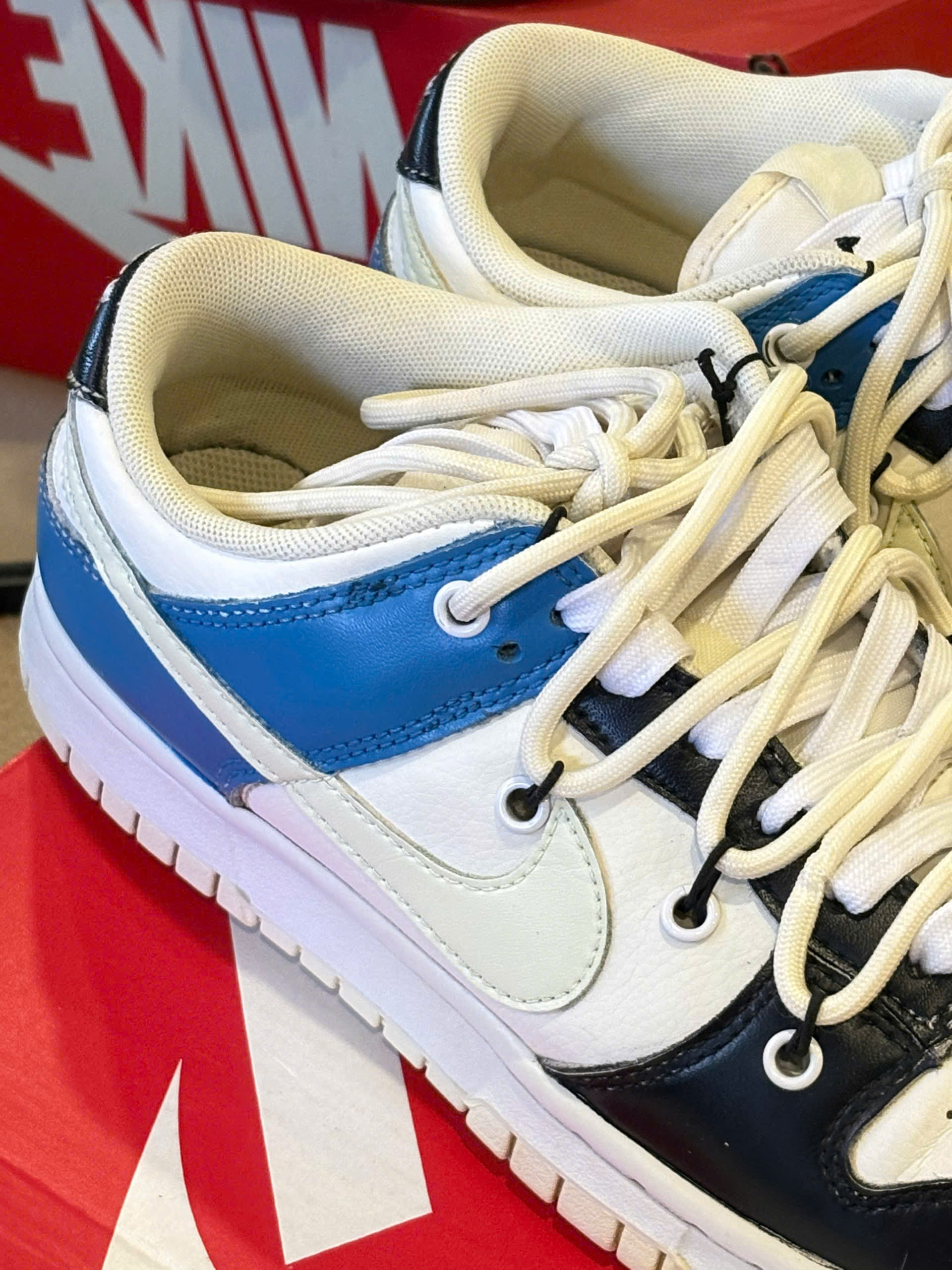 Nike Dunk Low Retro (W)