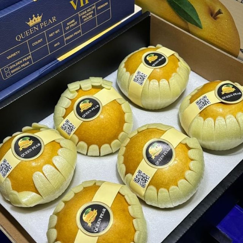 Lê Nâu (Queen Pear)_thumbnail_2