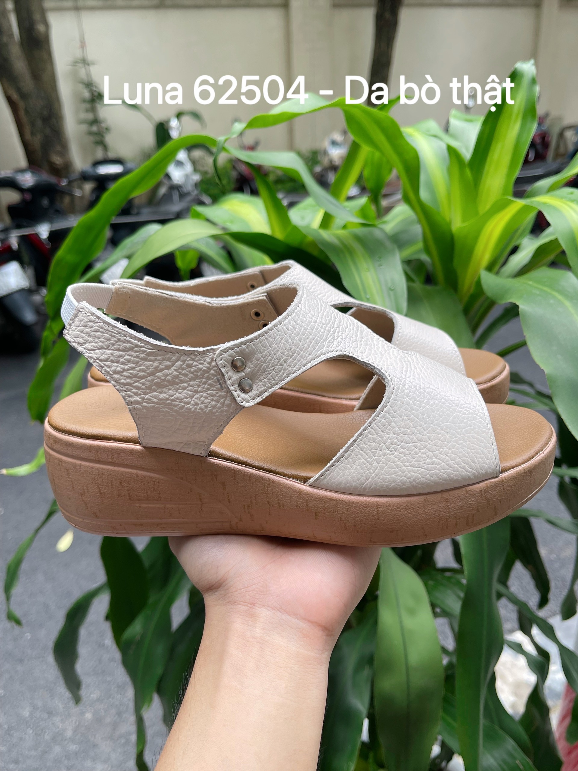 Luna 62504_thumbnail_3