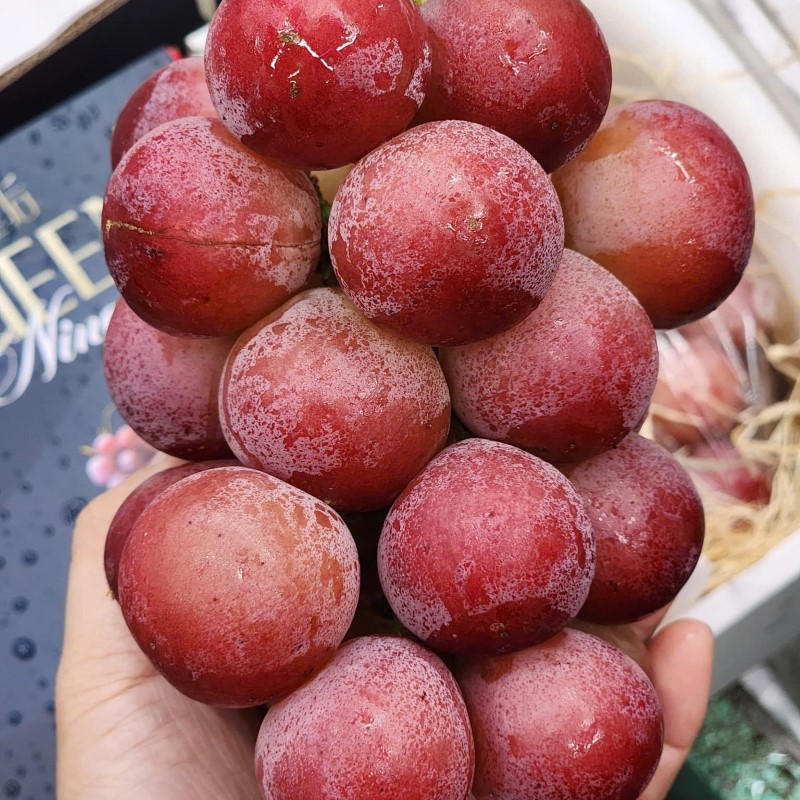 Nho Ruby Roman (Queen NiNa)_thumbnail_2