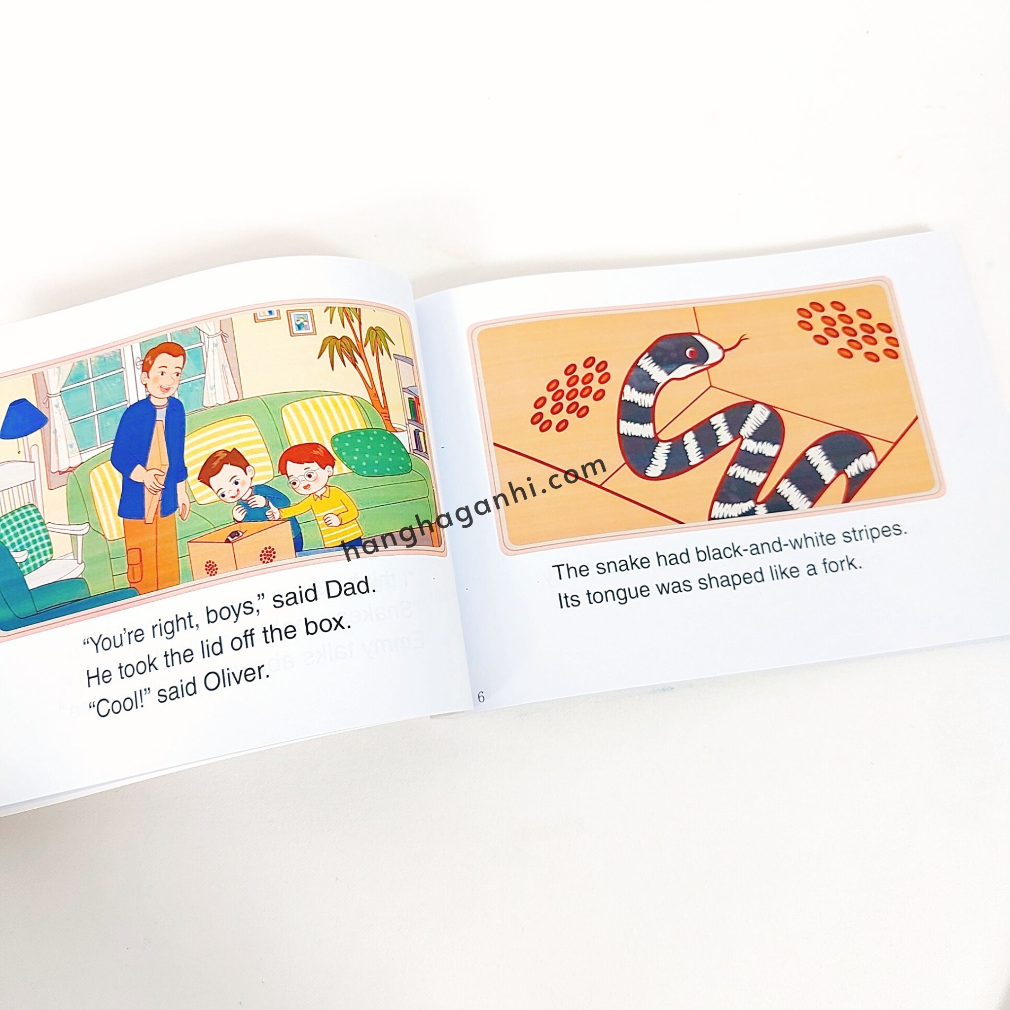 Little Fox level 3 – The Carter Family – Trọn bộ 48 truyện Kèm file nghe, video và quiz_thumbnail_1