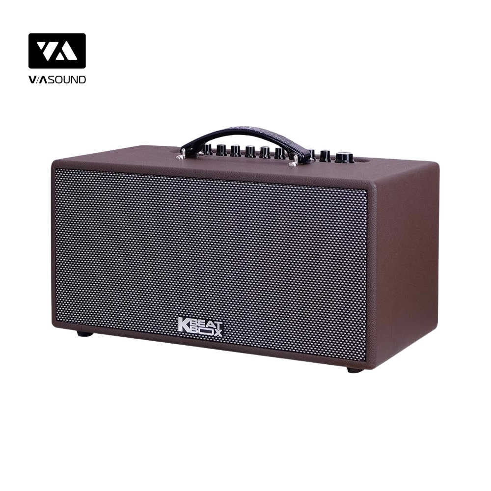 Loa Xách Tay ACNOS CS391