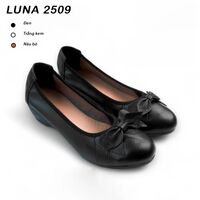 Luna 2509