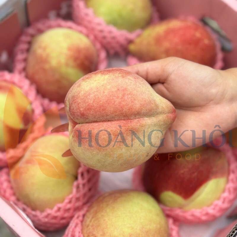 Đào Tuyết Lệ Giang_thumbnail_4