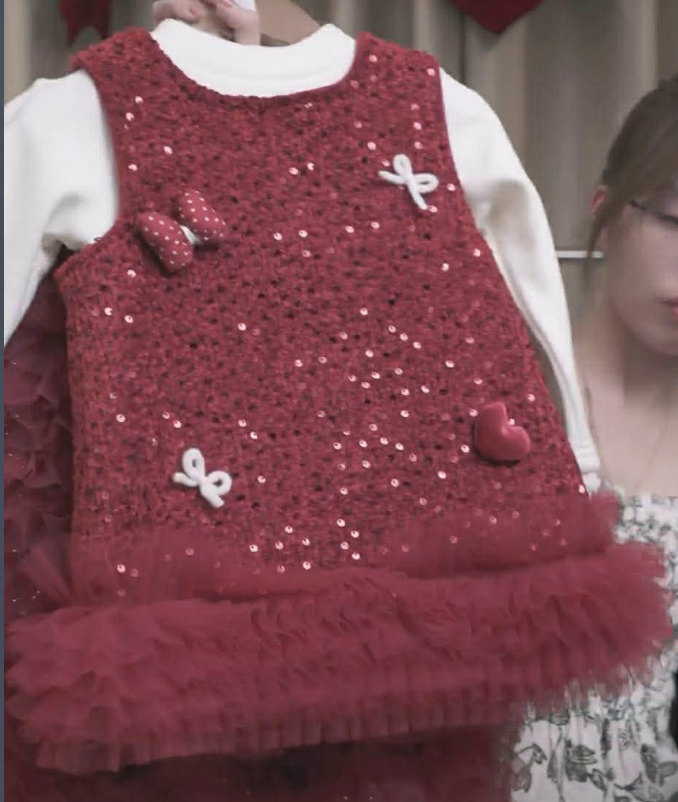 (V101) Váy dạ đính cườm viền voan