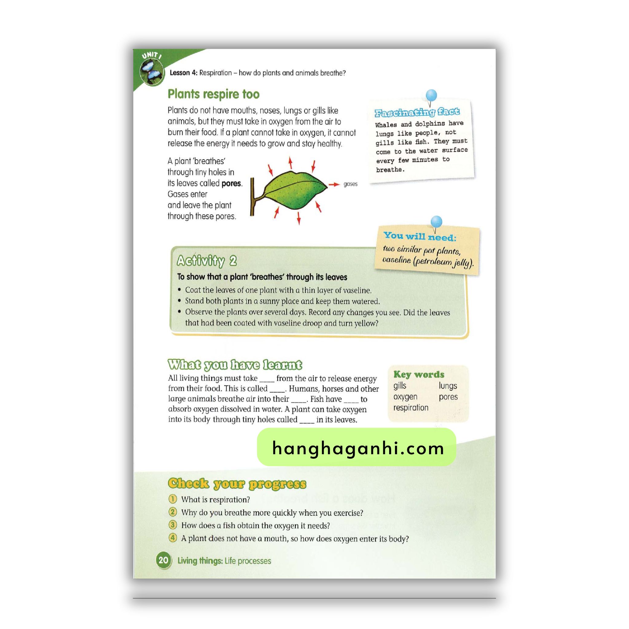 Macmillan Science 4 Pupil’s book_thumbnail_7
