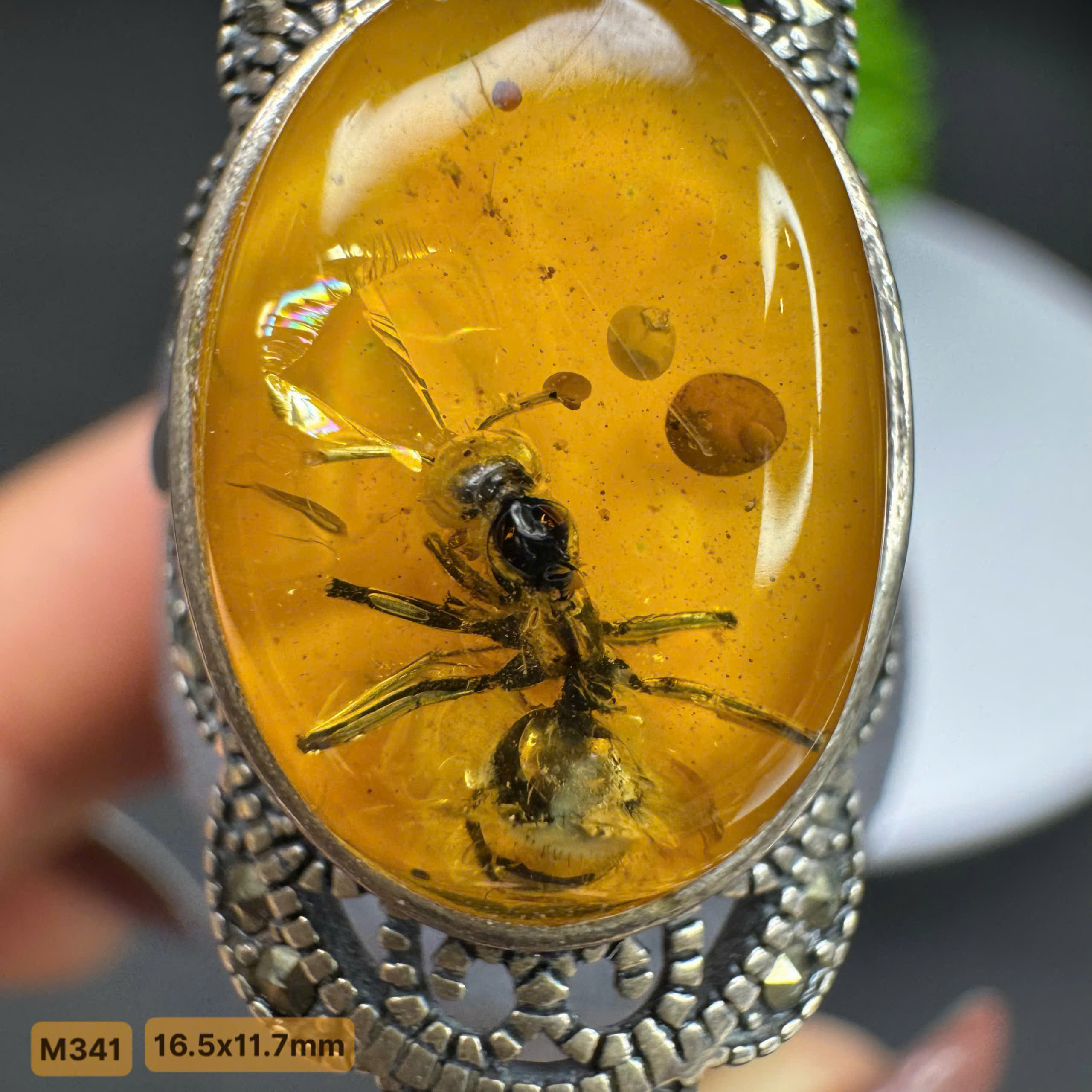 Nhẫn Côn Trùng Kiến Đại - M341