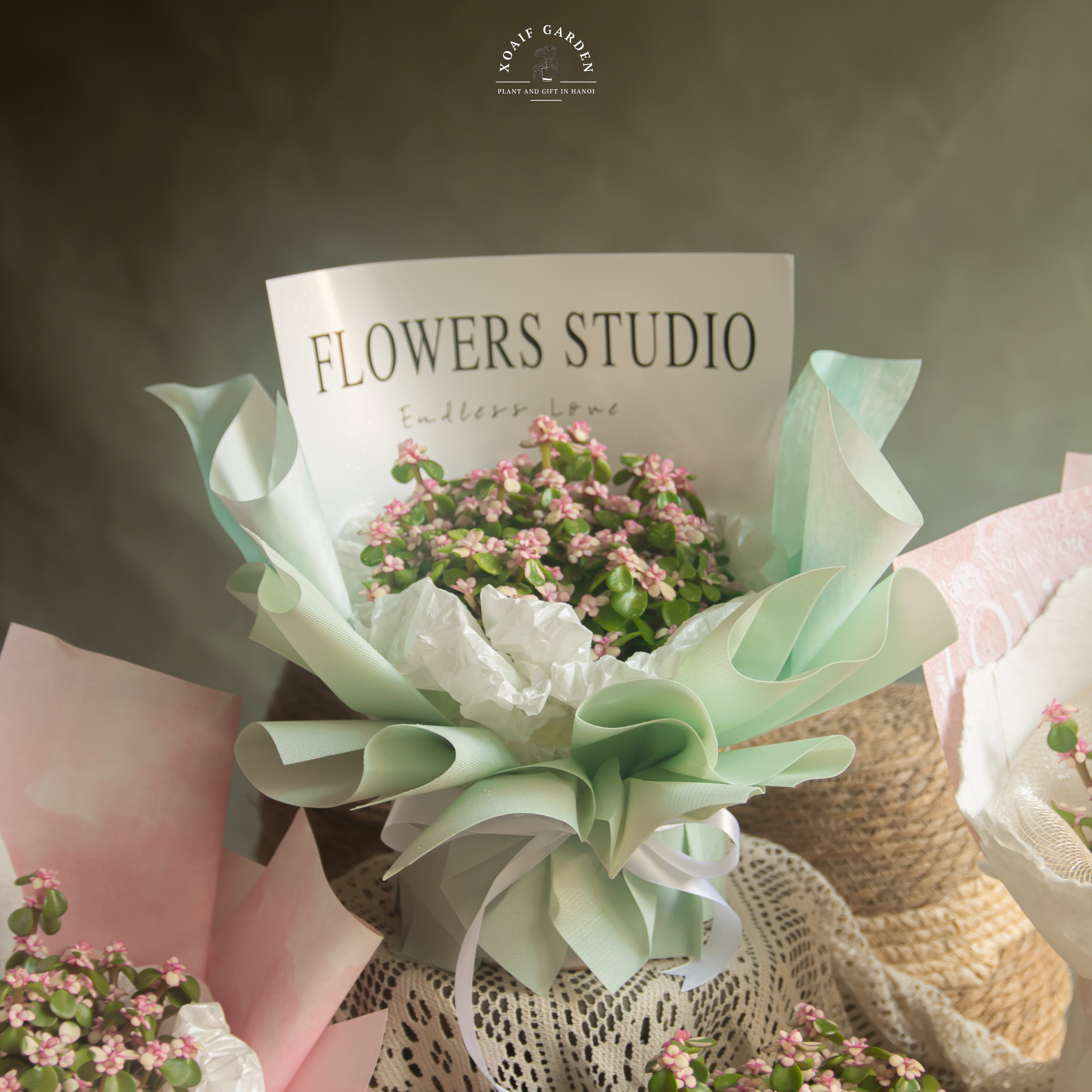 SET QUÀ TẶNG CÂY NGỌC BÍCH HỒNG