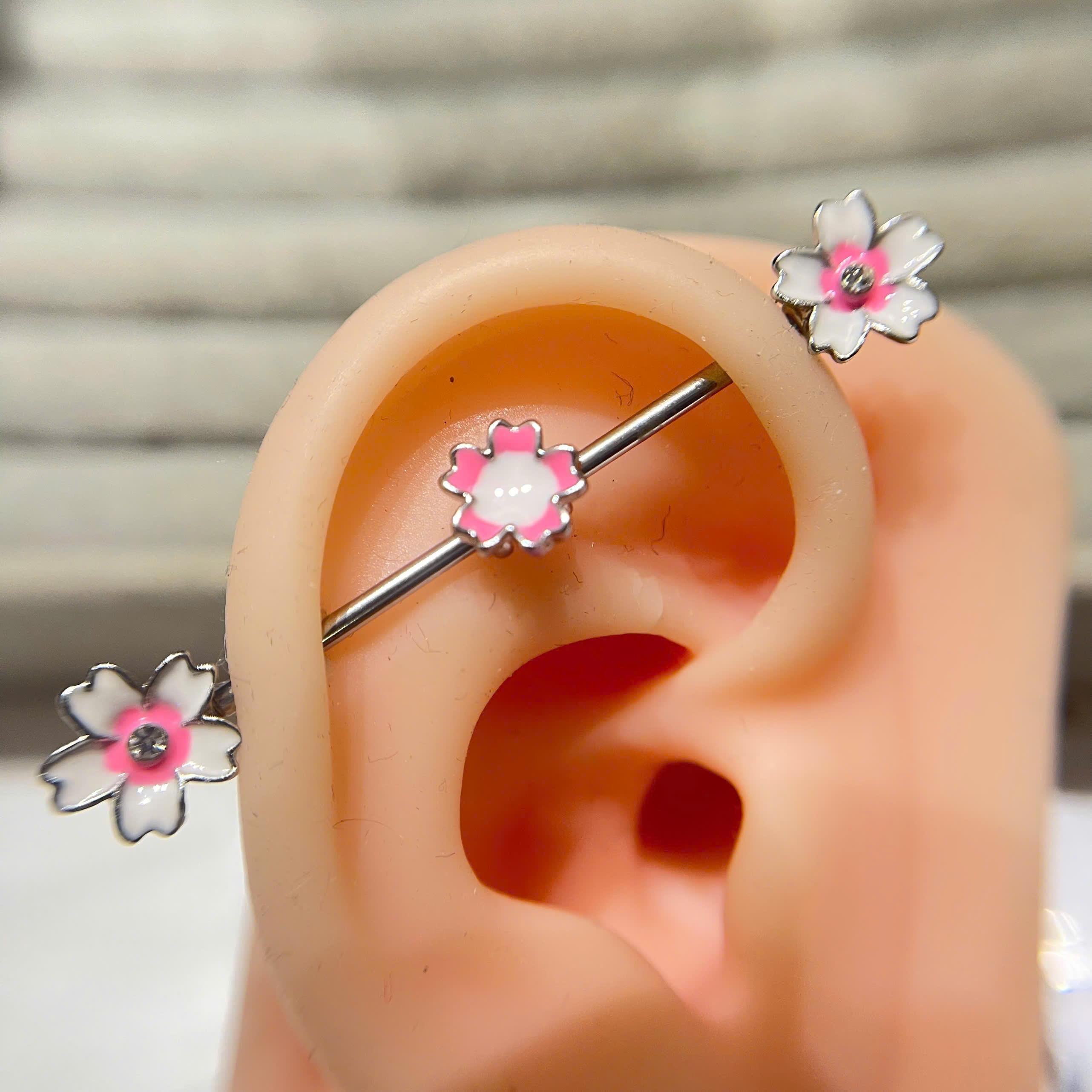 indus kiểu ba hoa anh đào trắng hồng._thumbnail_3