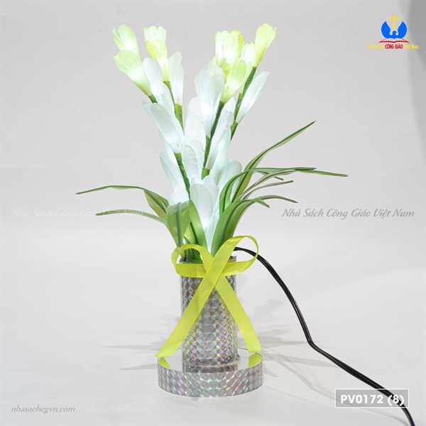 Hoa huệ điện_thumbnail_1