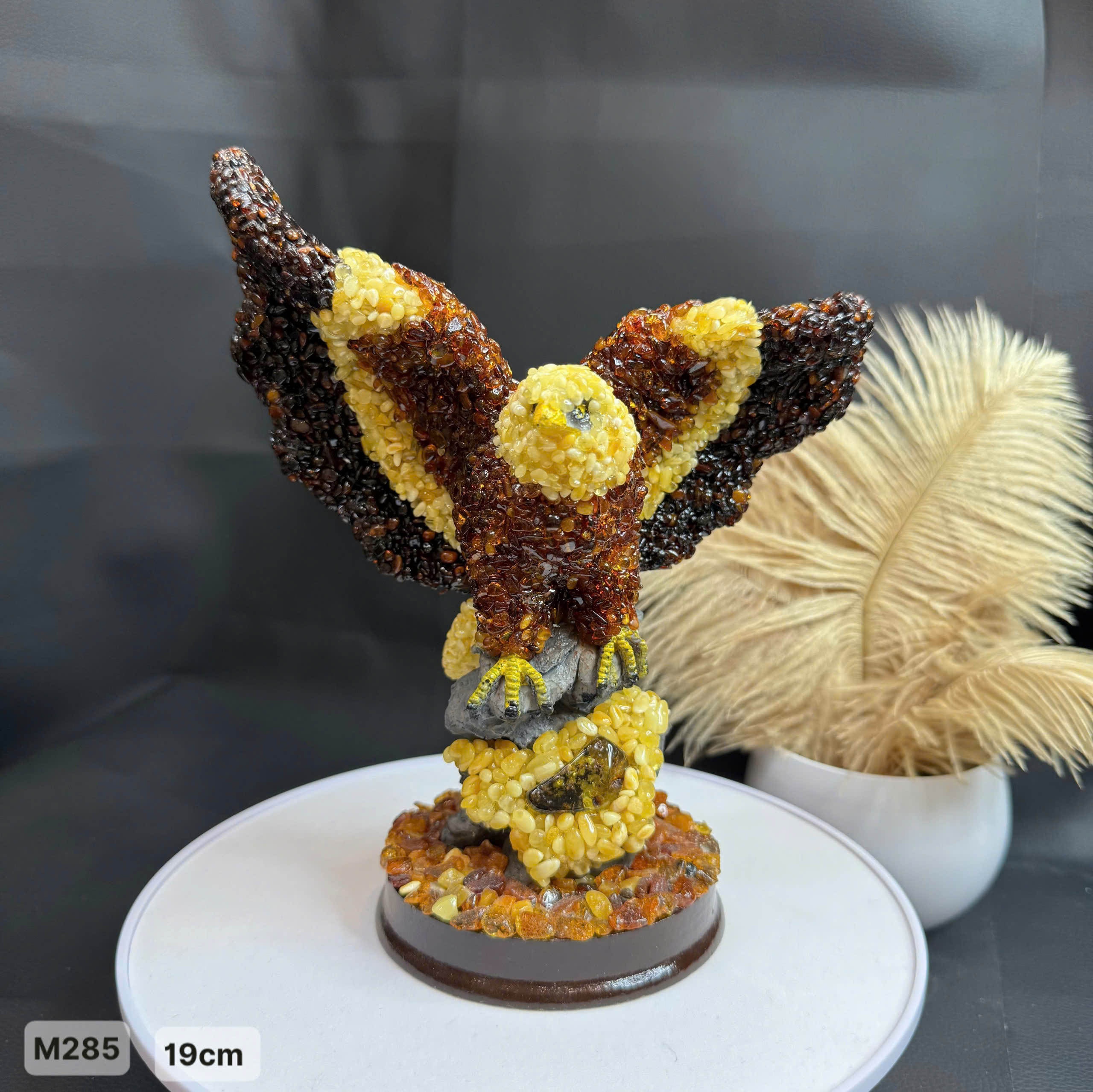 Đại Bàng Hổ Phách Trưng Bày - M285