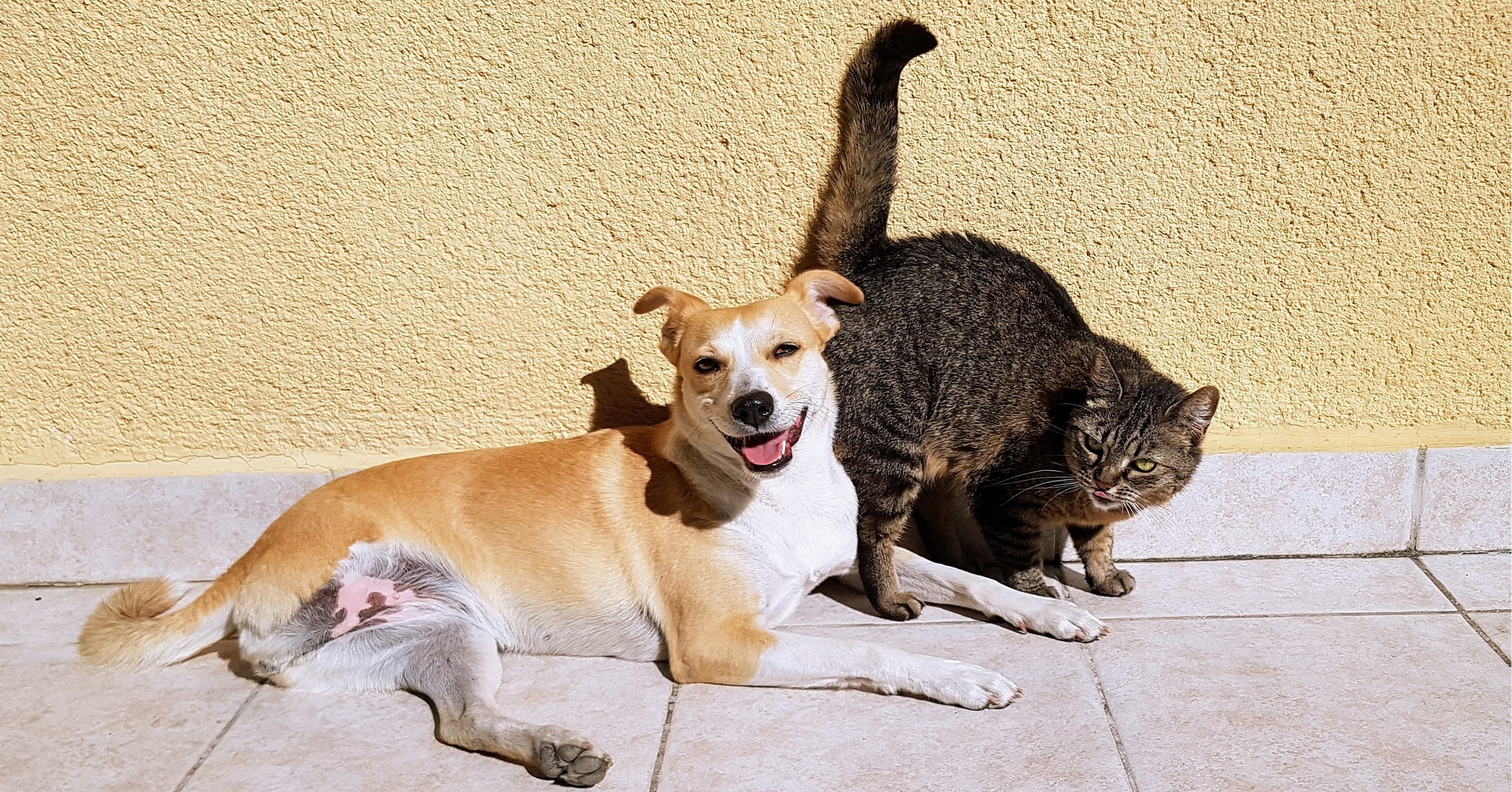 home_background_main_2