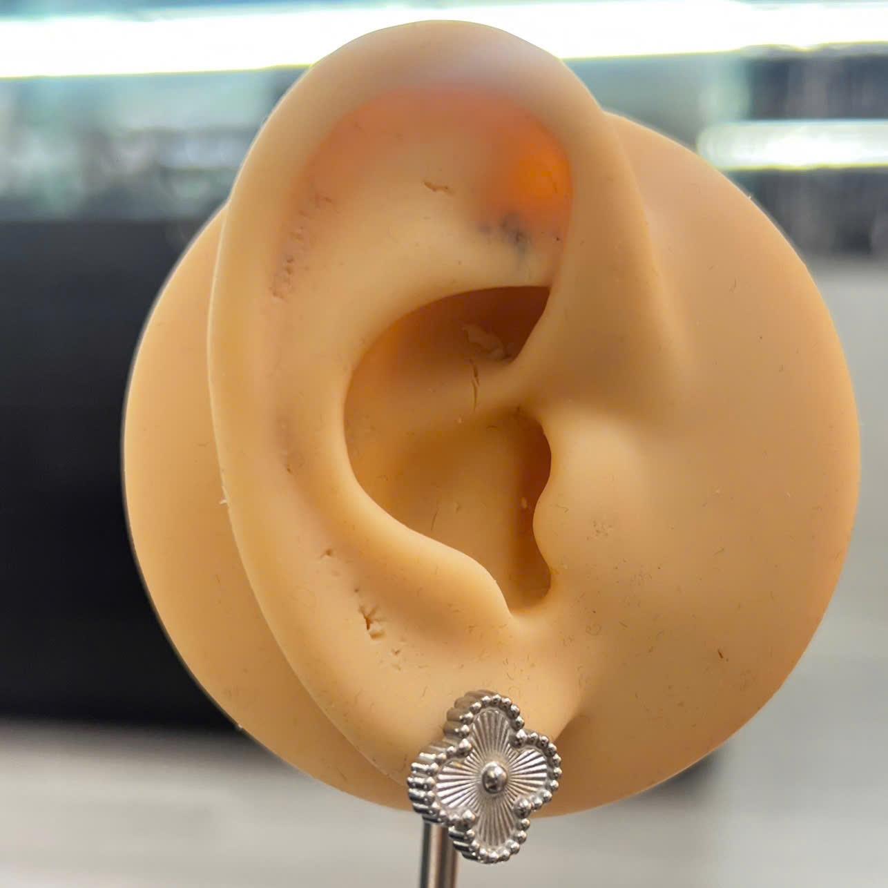 khuyên kiểu cặp cỏ bốn lá bạc viền bi bạc quanh titan._thumbnail_2