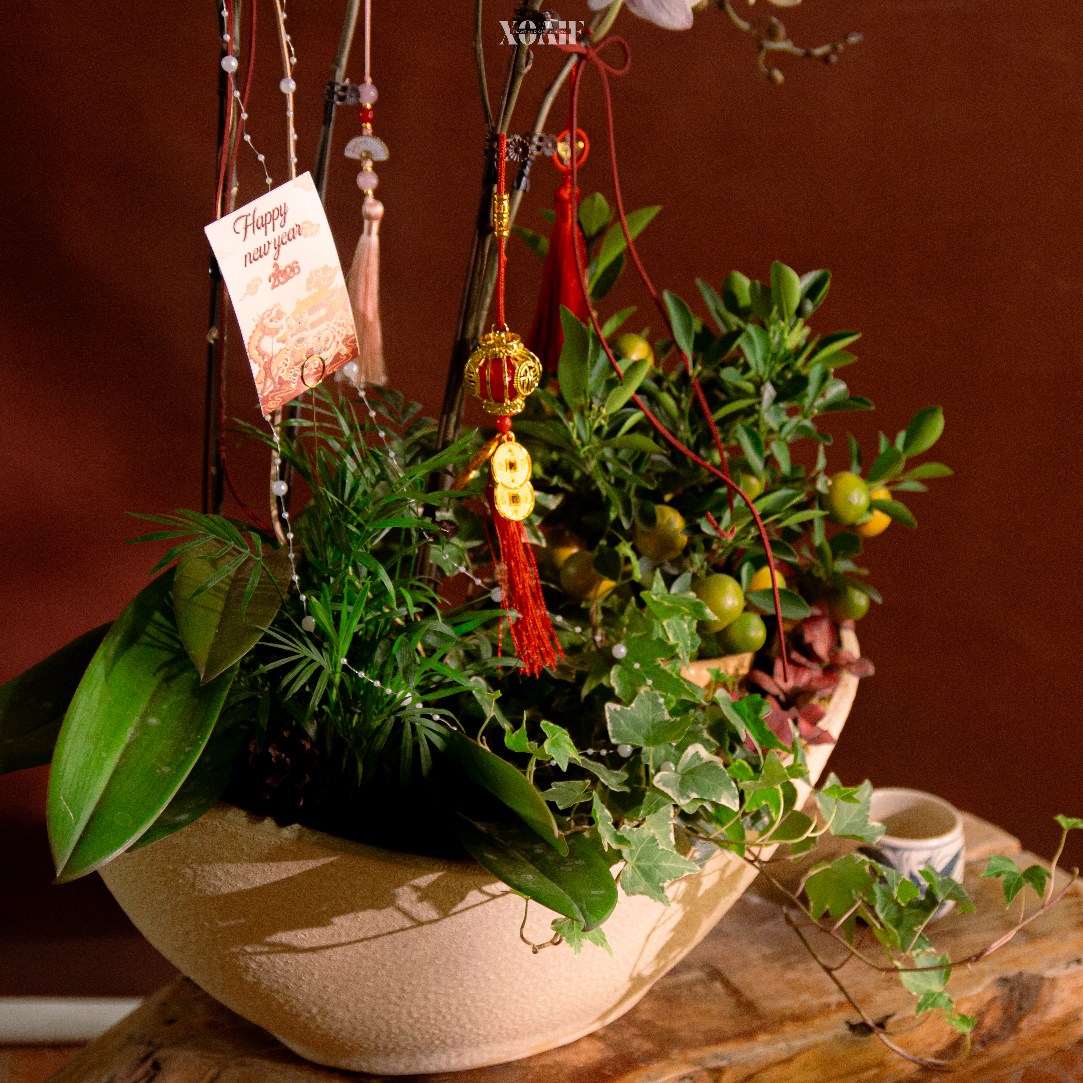 ĐĨNH XUÂN GIAO_thumbnail_3