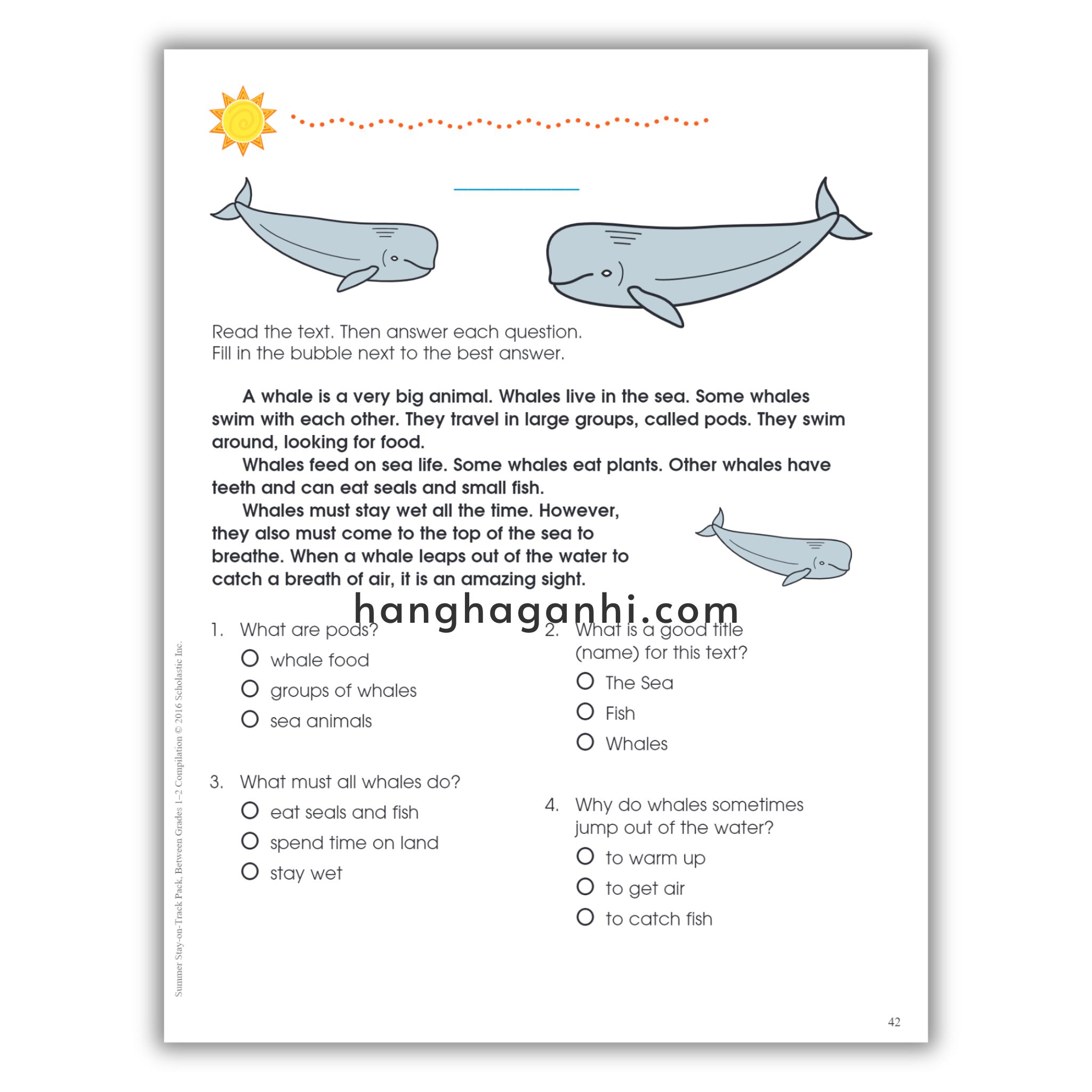 Summer Stay - On - Track Pack - Sách bài tập thực hành toán - đọc hiểu tiếng Anh Prek-k~Lớp 6_thumbnail_16