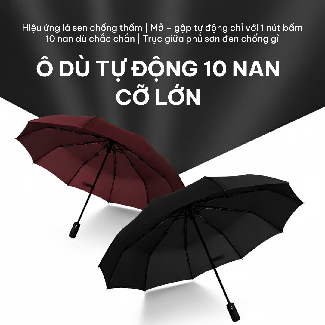 Dù Tự Động 10 Nan