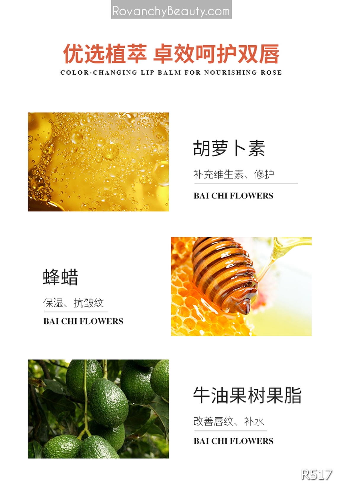 Son dưỡng môi ROVANCHY chiết xuất tự nhiên - Chống nứt nẻ, lên màu tự nhiên, an toàn cho bà bầu R517_thumbnail_20