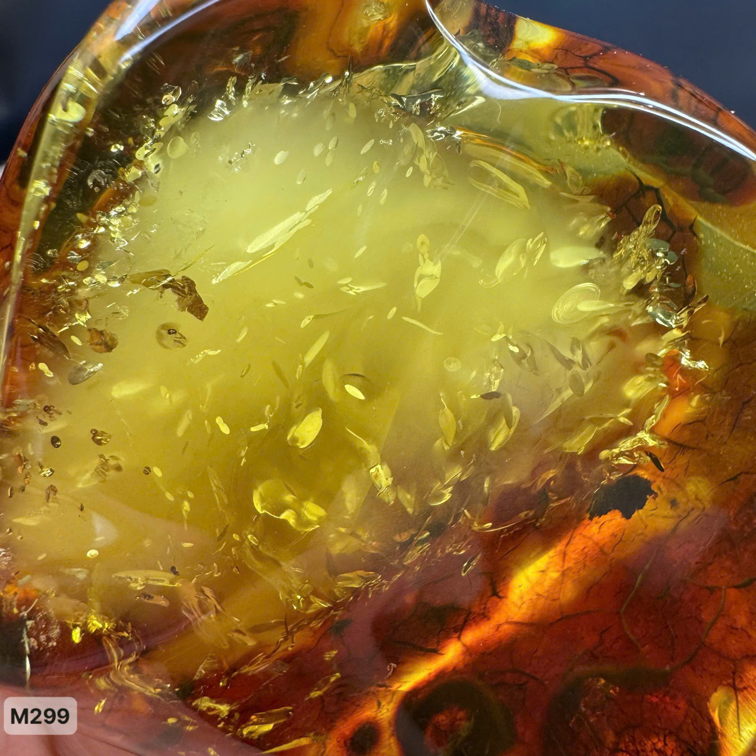 Tại Sao Hổ Phách Baltic Lại Được Xếp Vào Nhóm Đá Tự Nhiên Có Năng Lượng Lành?