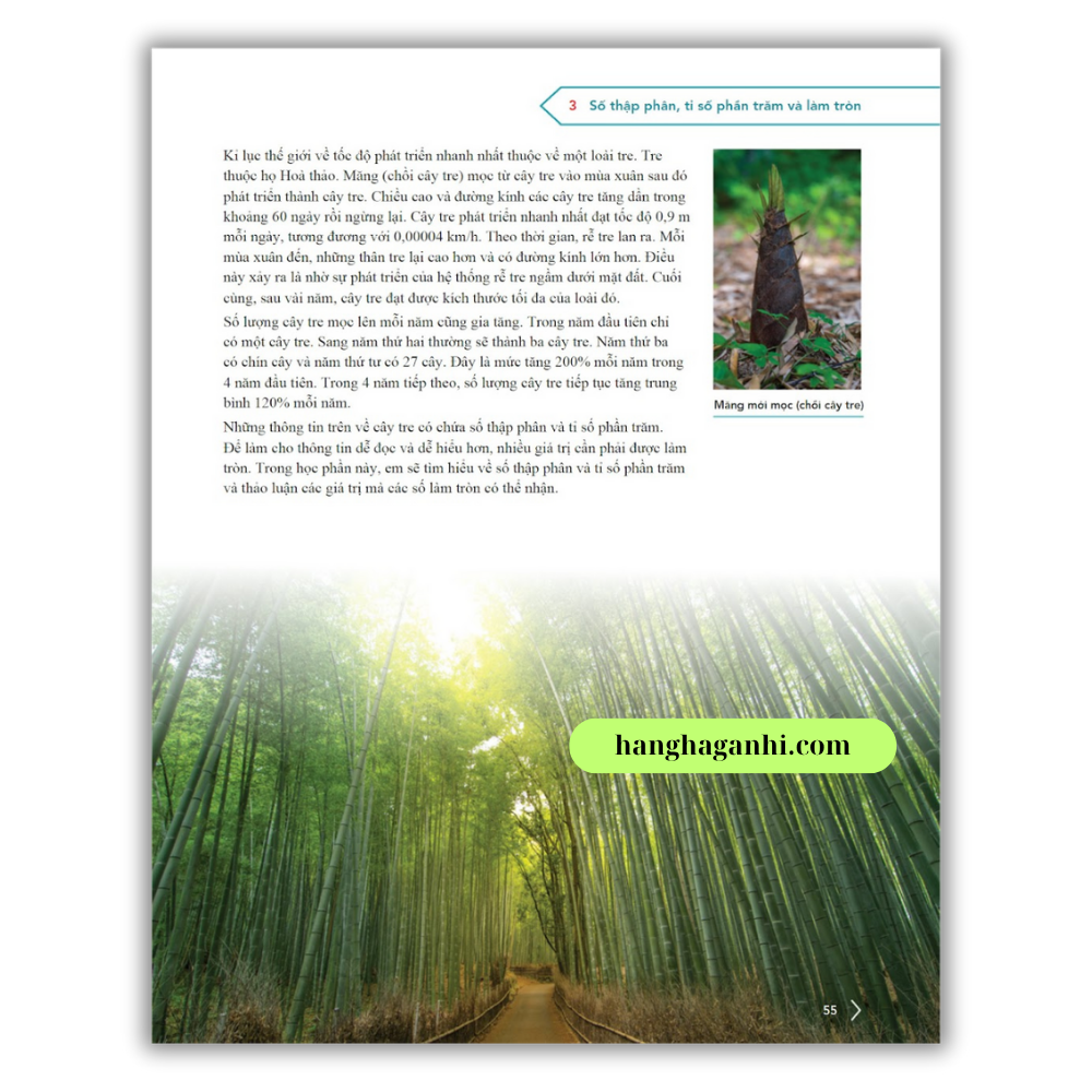 Chương trình Cambridge bậc Trung học – KHOA HỌC – Sách học sinh 9 – Quyển 1 &2_thumbnail_12