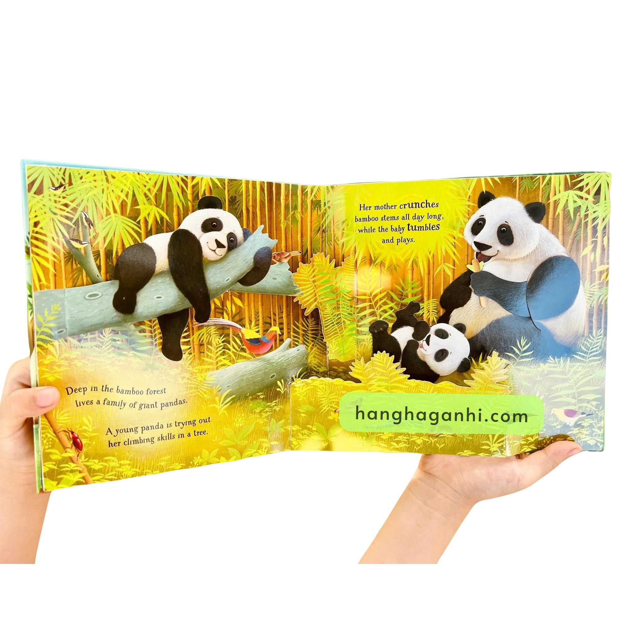 Usborne Popup Animals_thumbnail_6