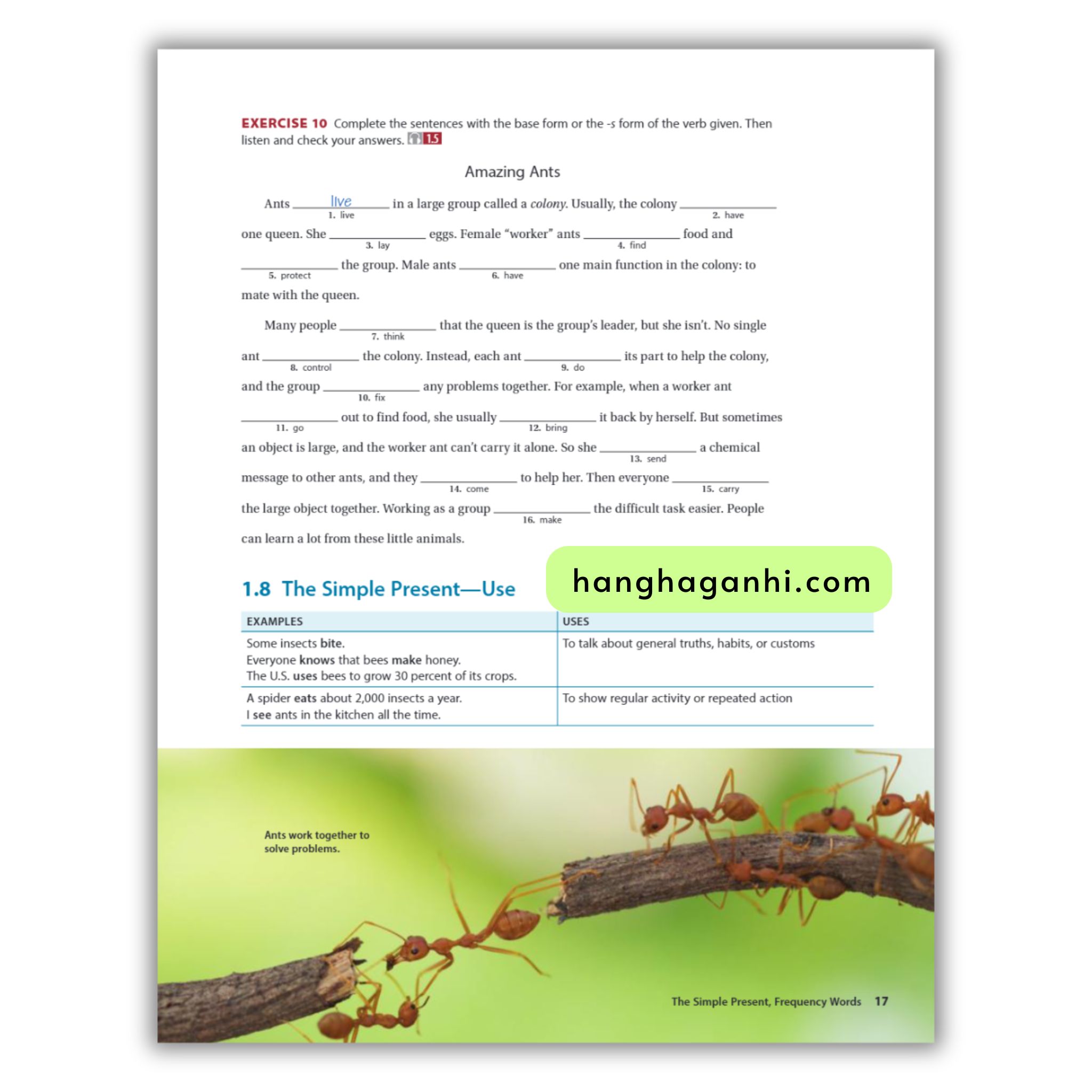 National Geographic Grammar In Context 2 (7Th Edition)_thumbnail_13