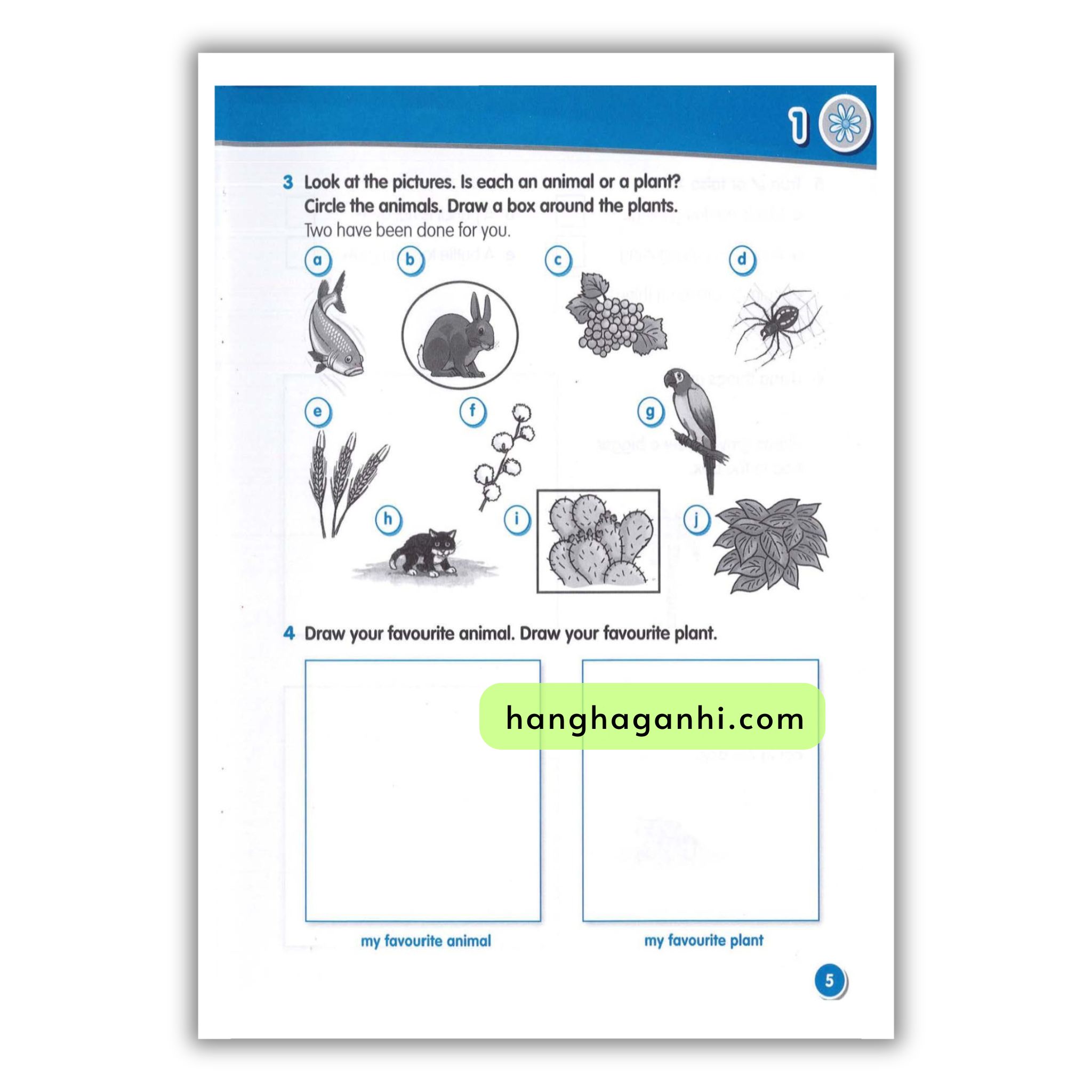 Macmillan Science 1 Workbook_thumbnail_17