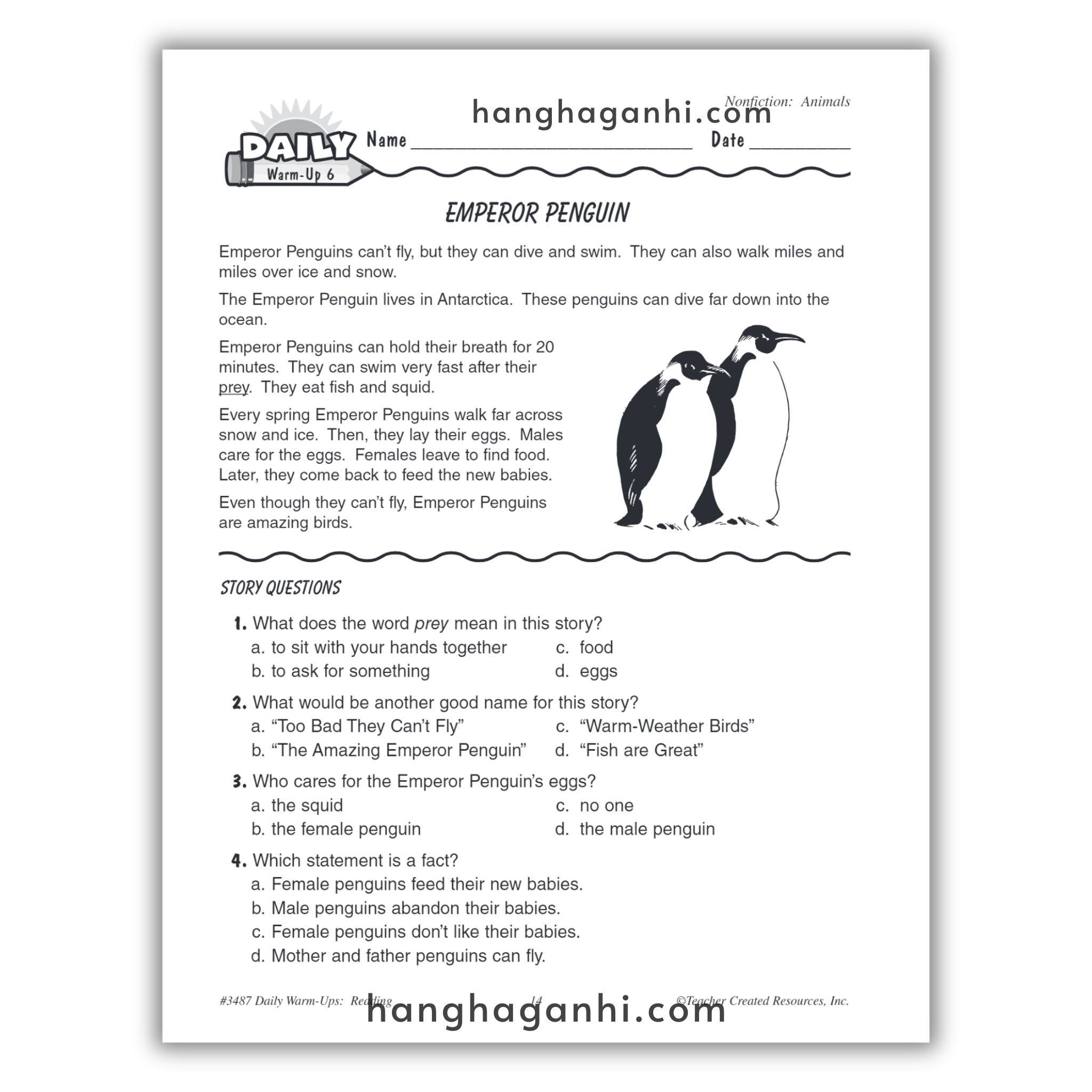 Sách Daily Warm Ups Reading Grade 1_thumbnail_5