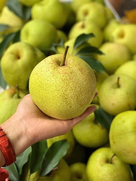 Lê mật_thumbnail_2