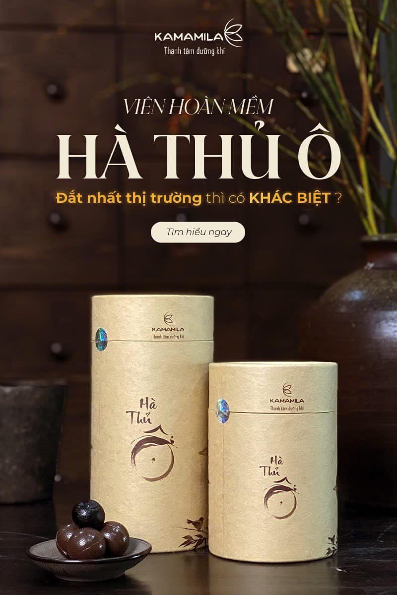 Hà Thủ Ô Đắt Nhất Thị Trường Có Gì Khác Biệt