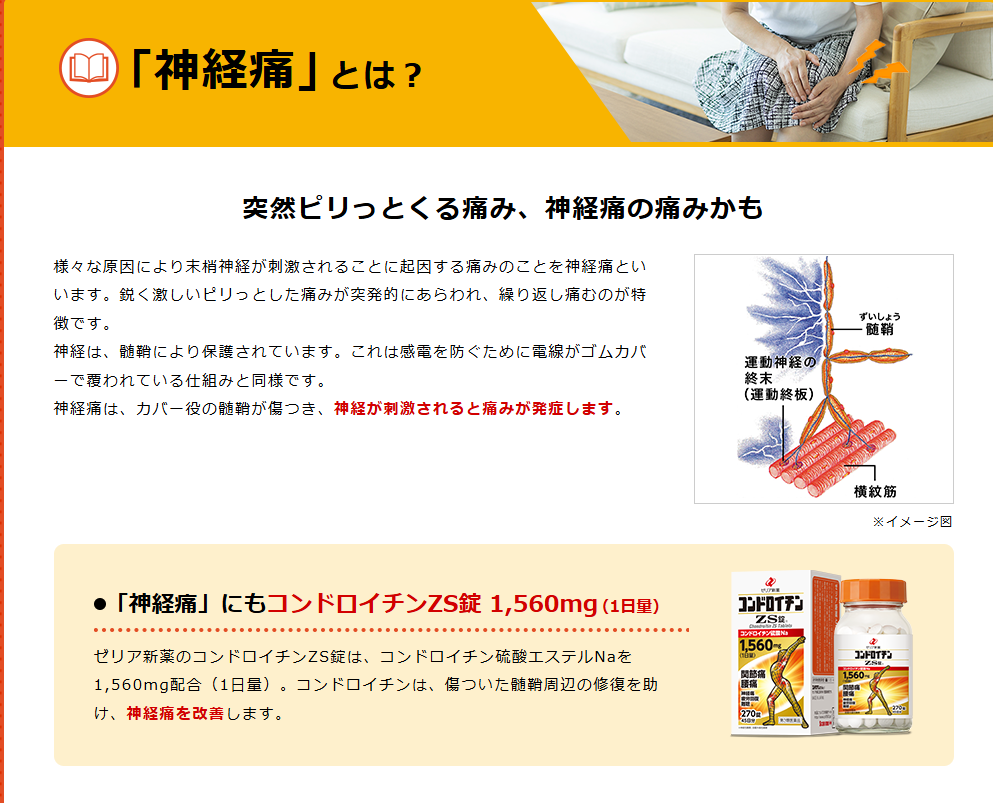 Viên uống xương khớp Chondroitin ZS_thumbnail_7