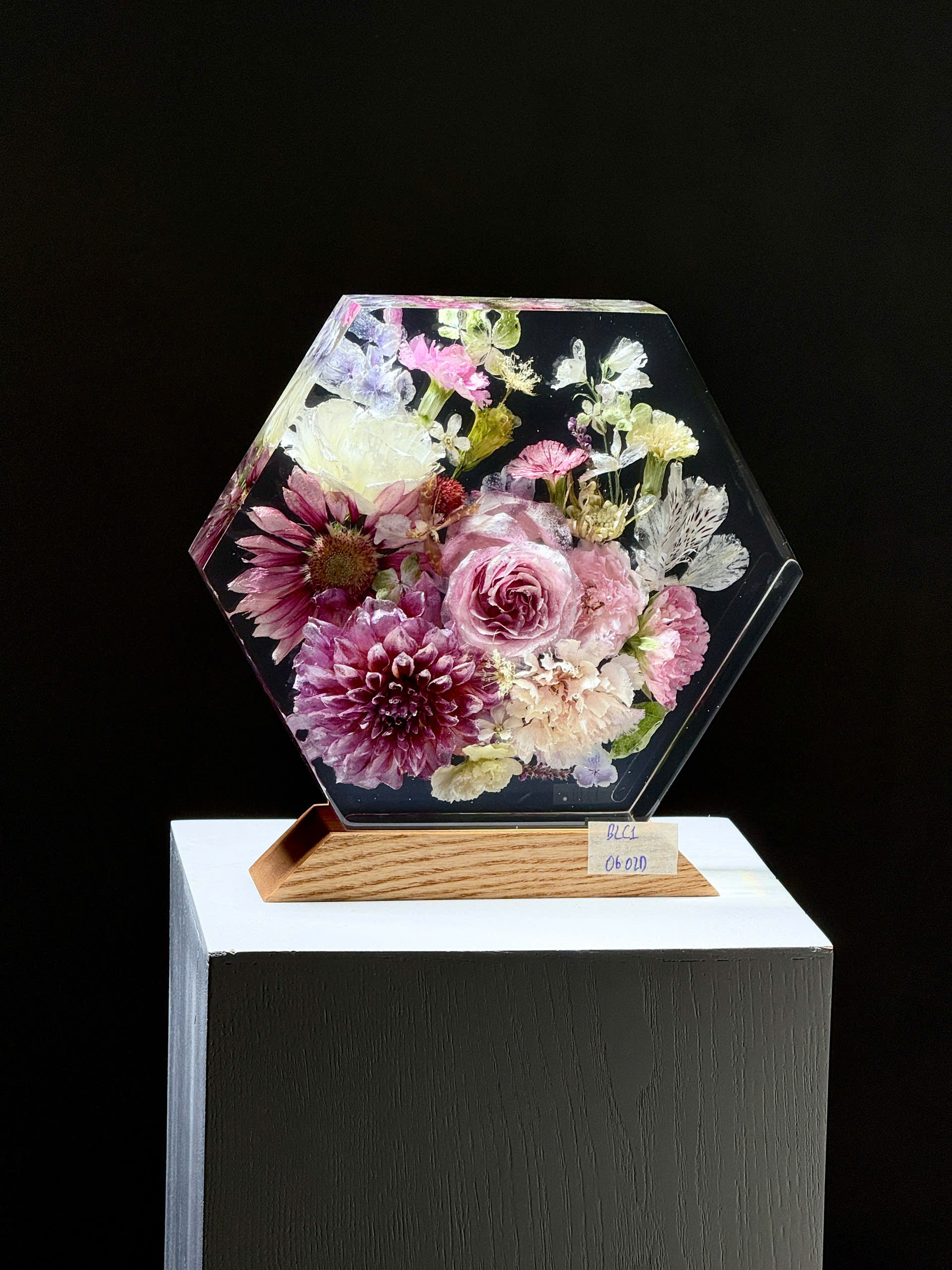 Đèn hoa khô Bloomlight BLC10602D