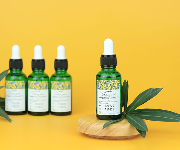 Tinh dầu Tràm gió – Giảm bớt nỗi lo phòng dịch/cúm