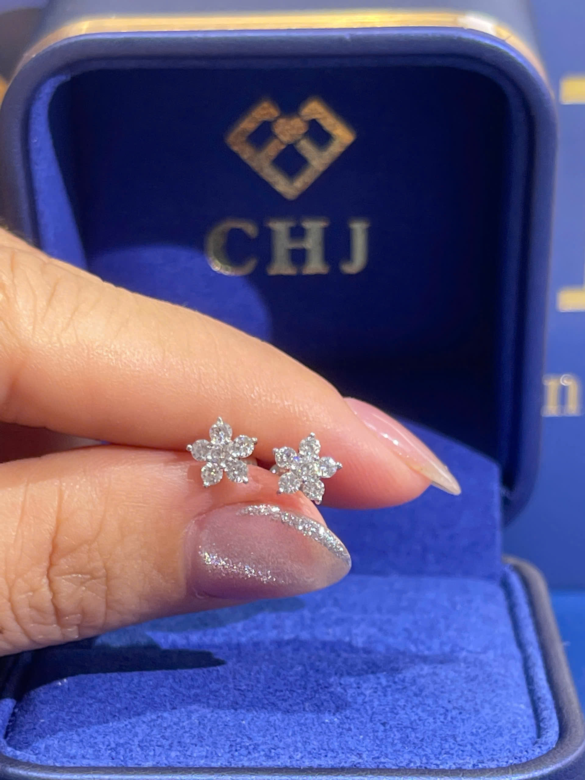 Hoa Tai 12 Viên Kim Cương_thumbnail_2