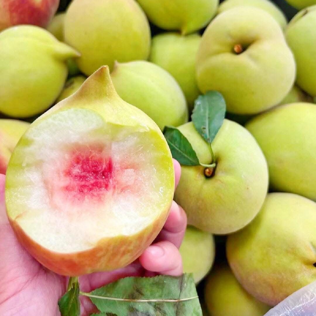 Đào Mỏ Quạ Mộng Tự Vân Nam