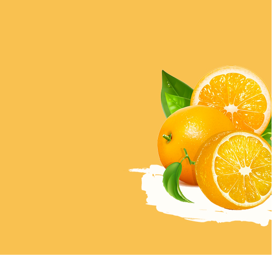 organic22-banner-1