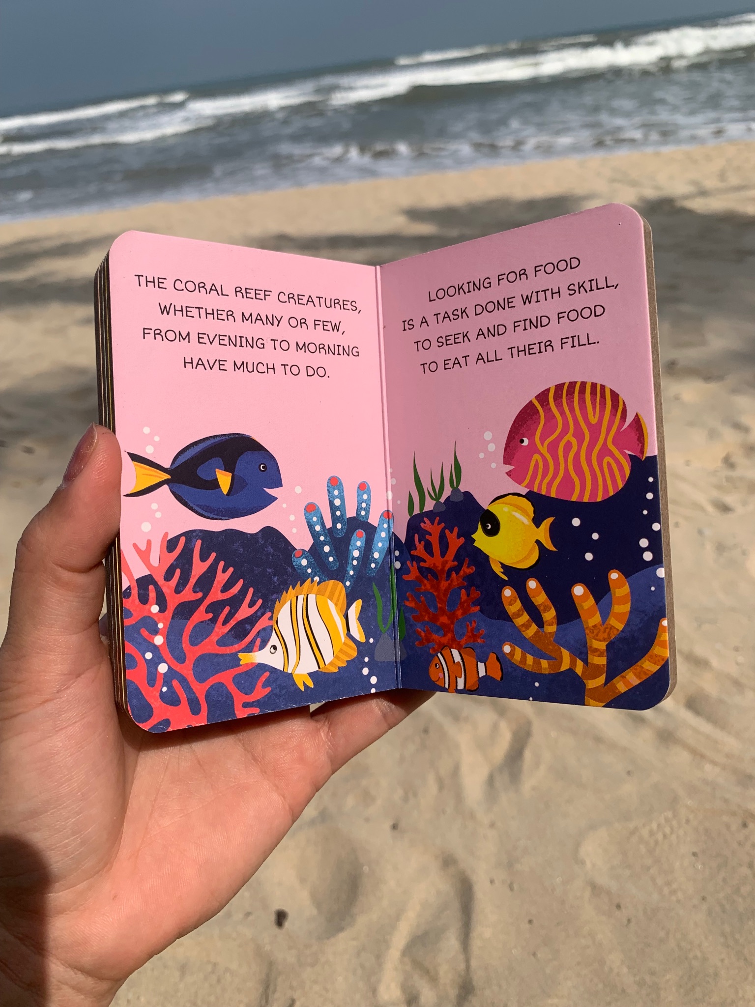 MY FIRST LIBRARY - THE SEA (xả vỡ hộp)_thumbnail_11