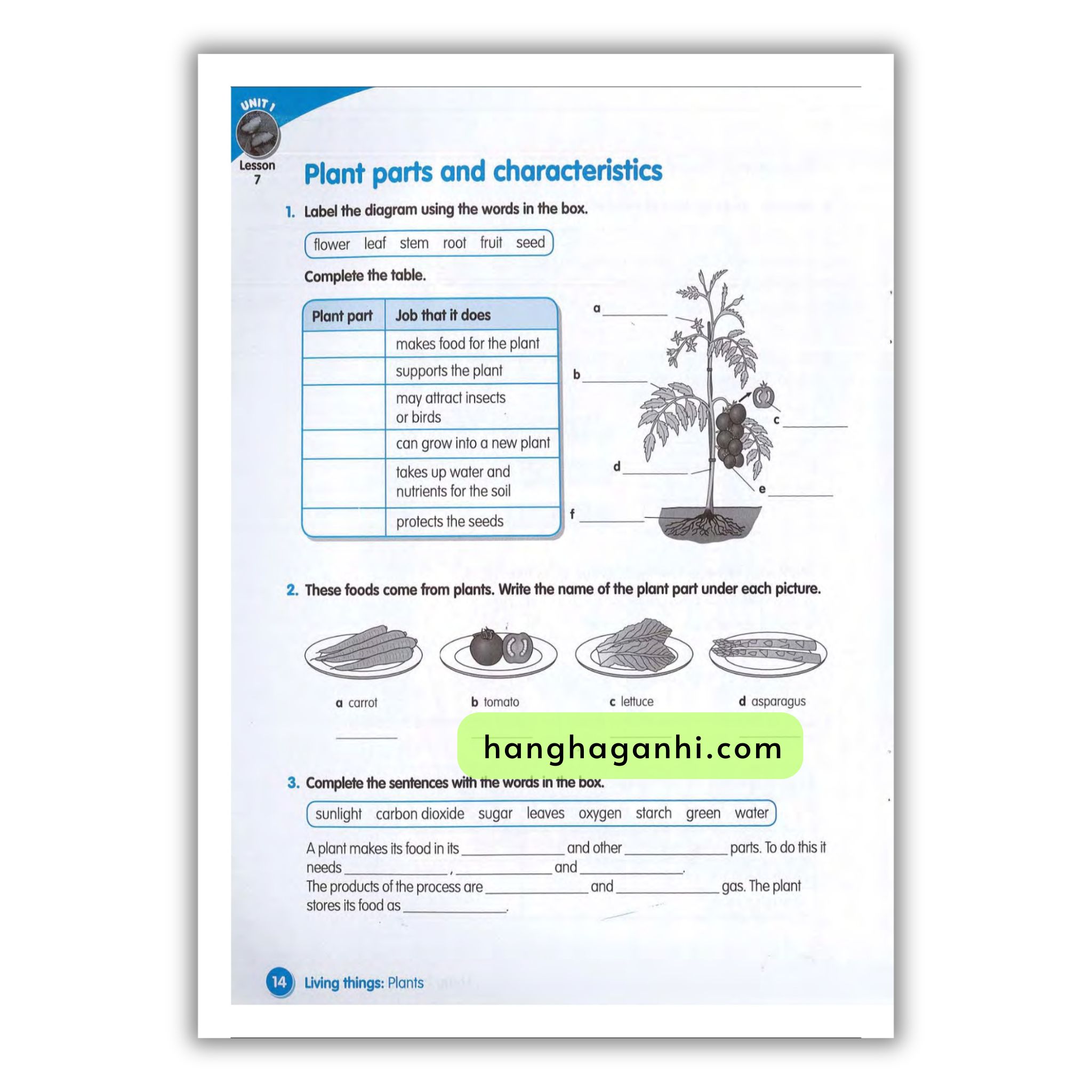 Macmillan Science 4 Workbook_thumbnail_15