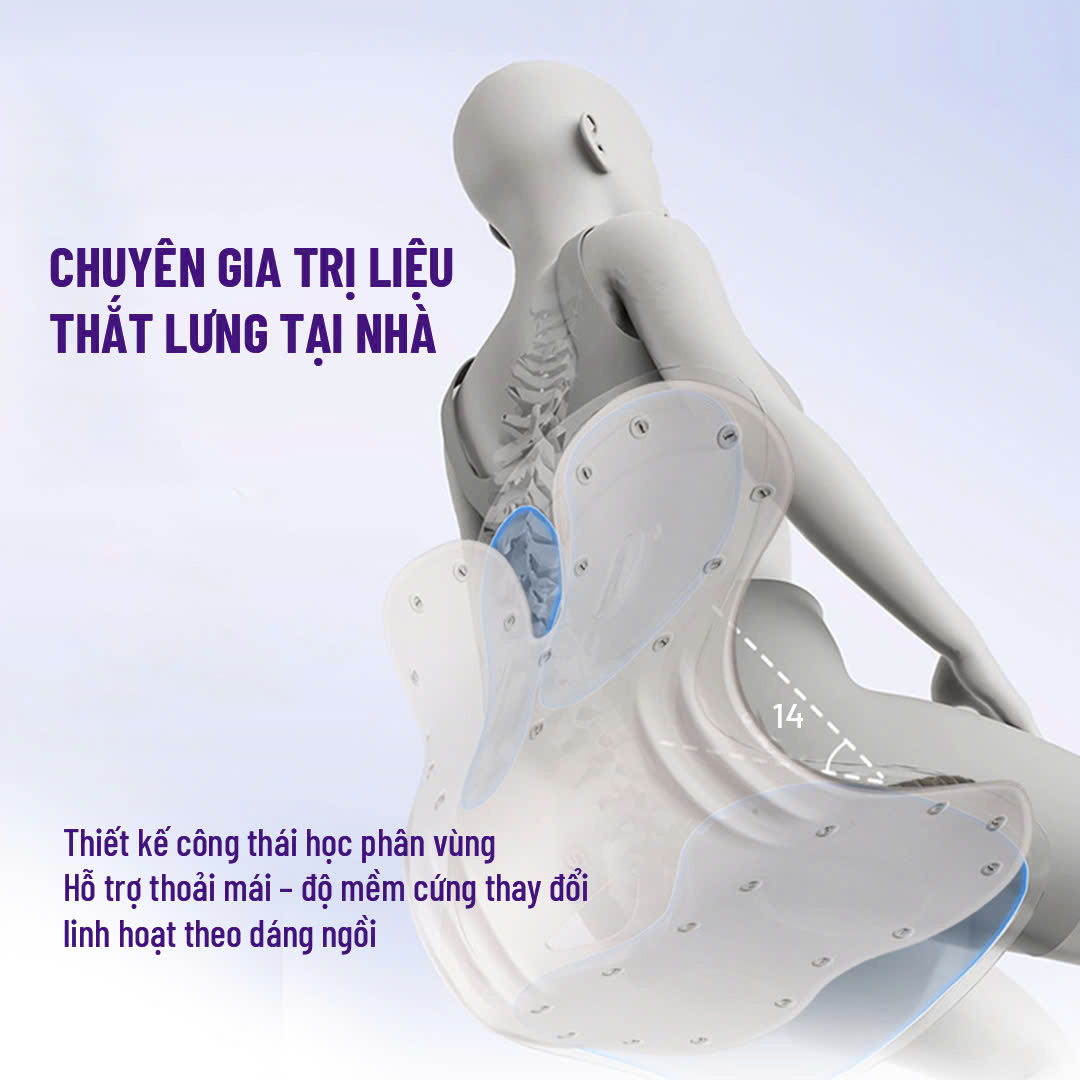 GHẾ CURBLE CÔNG THÁI HỌC_thumbnail_8