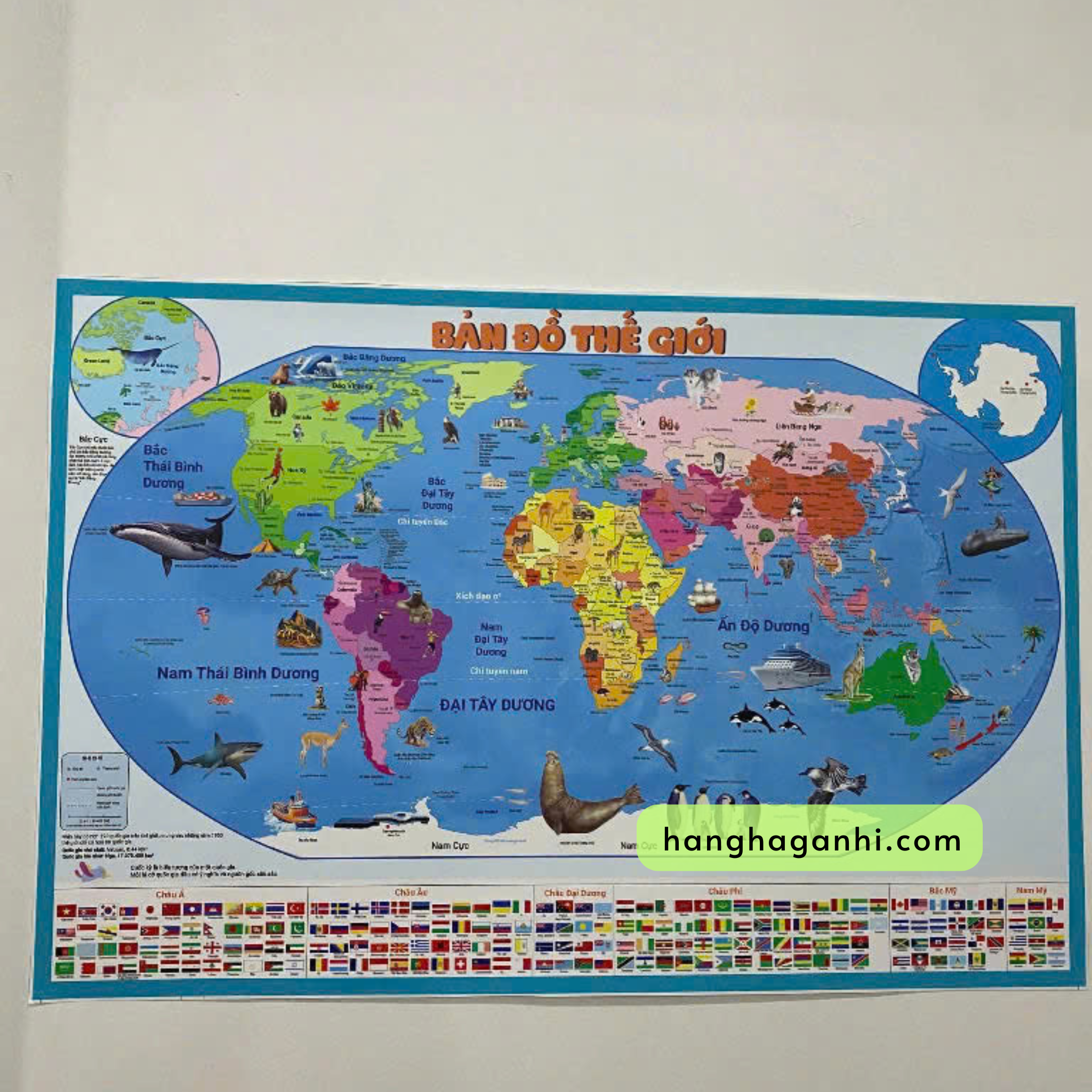 Bộ 2 chiếc bản đồ dán tường Việt Nam và thế giới size 60x90cm_thumbnail_3