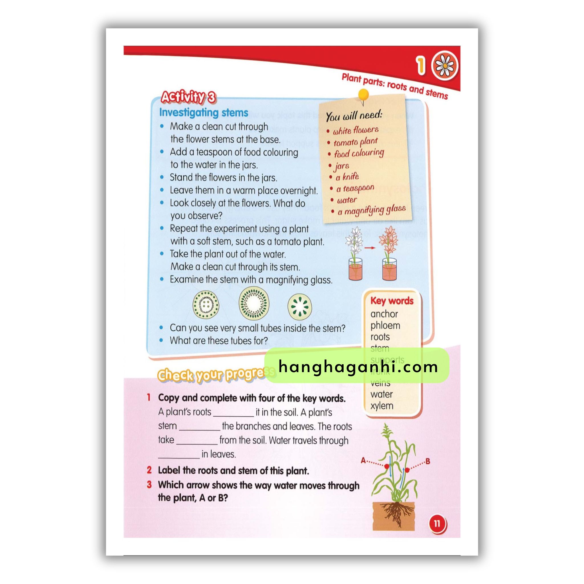 Macmillan Science 3 Pupil’s book_thumbnail_16