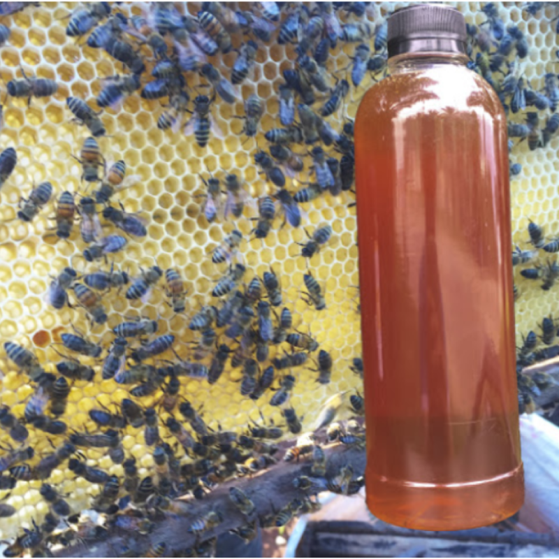 Mật Ong Hoa Cà Phê_thumbnail_3