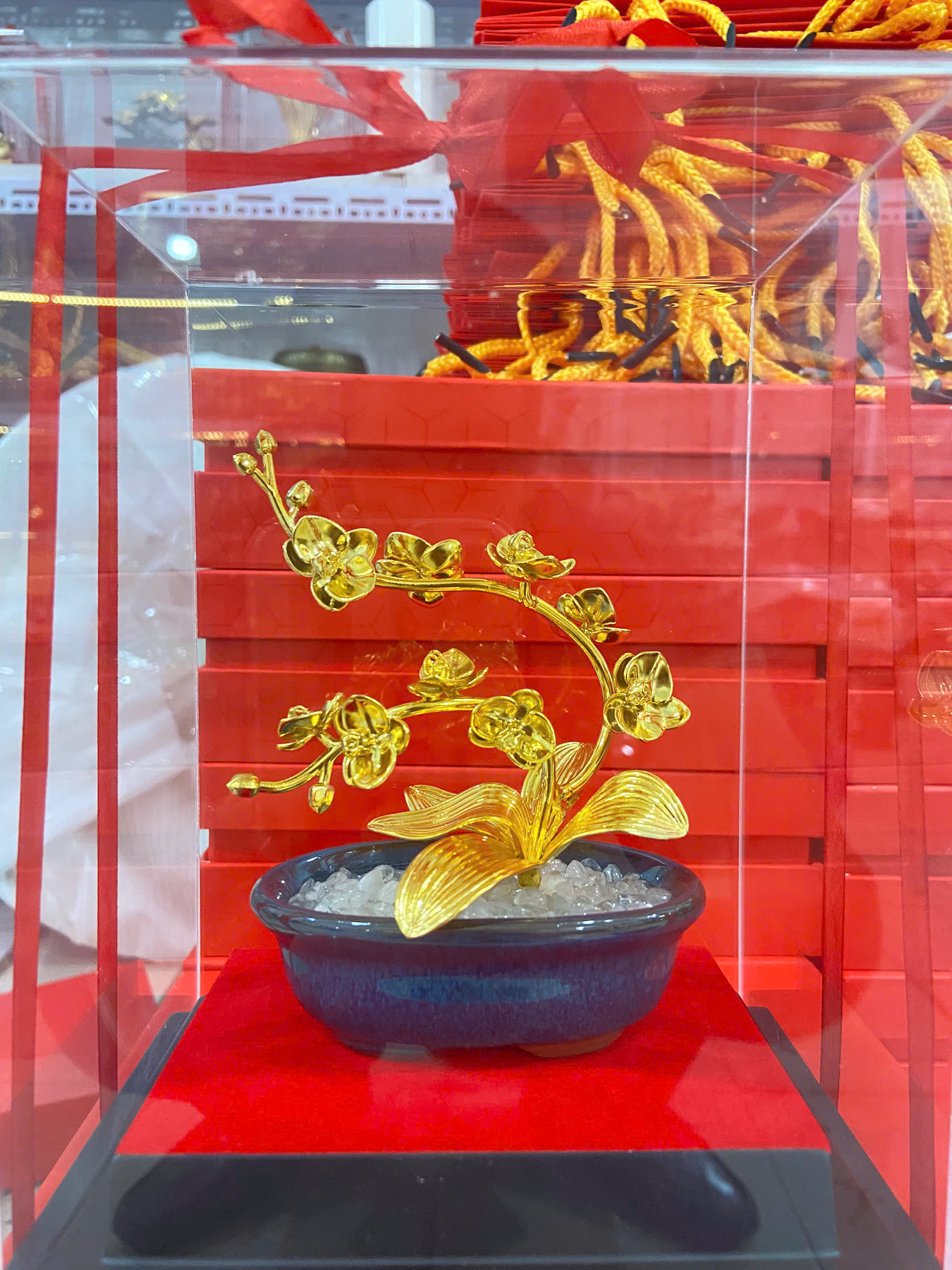 Chậu hoa lan hồ điệp chậu xanh  quà tặng mạ vàng 24k KT CAO 22CM 