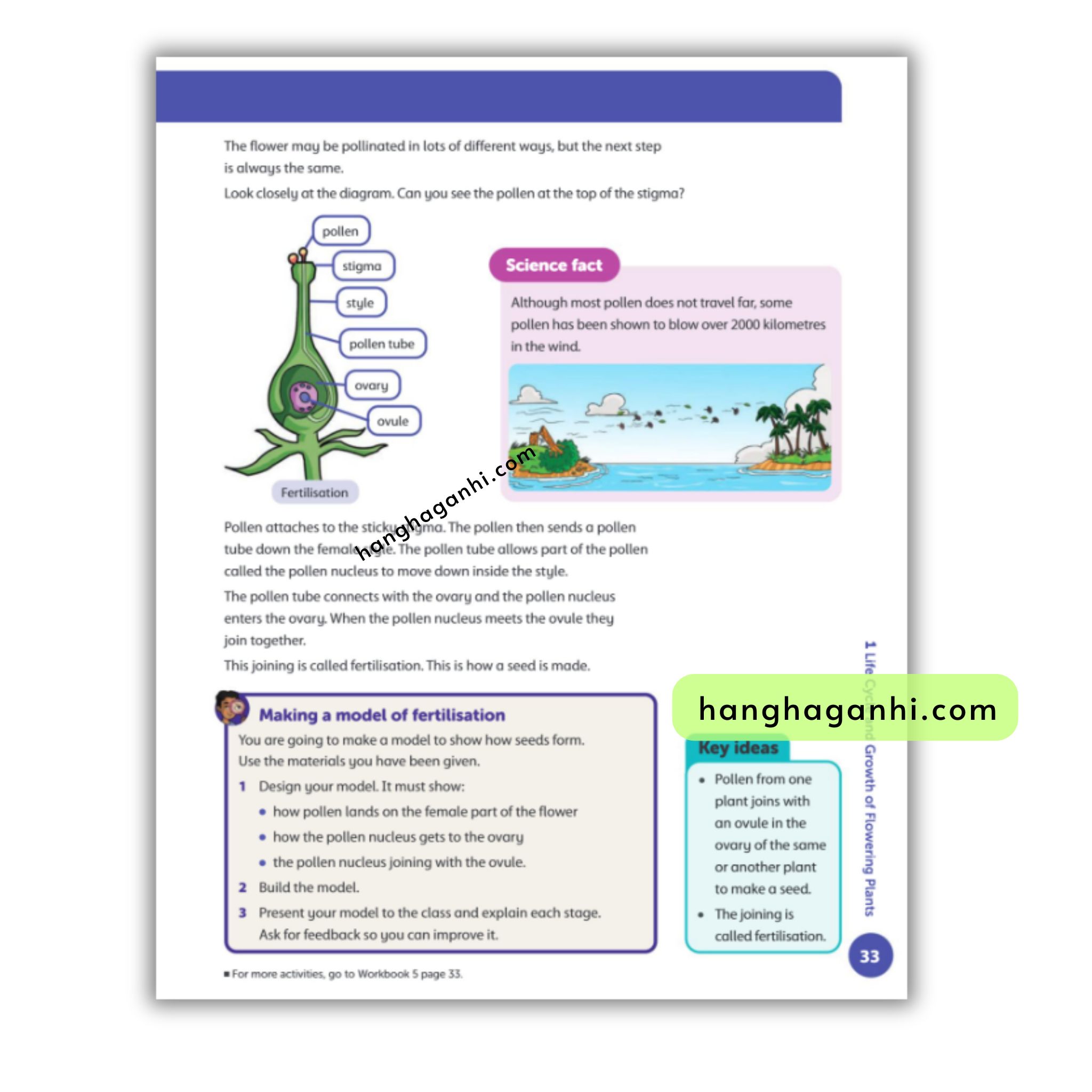 Oxford International Primary Science 5 Student Book, Second Edition_thumbnail_3