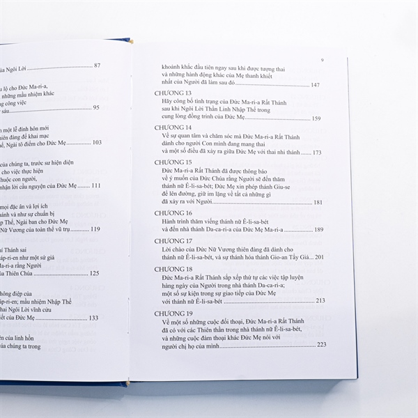 Sách thành đô huyền nhiệm của Thiên Chúa (tập 4) ✔_thumbnail_3