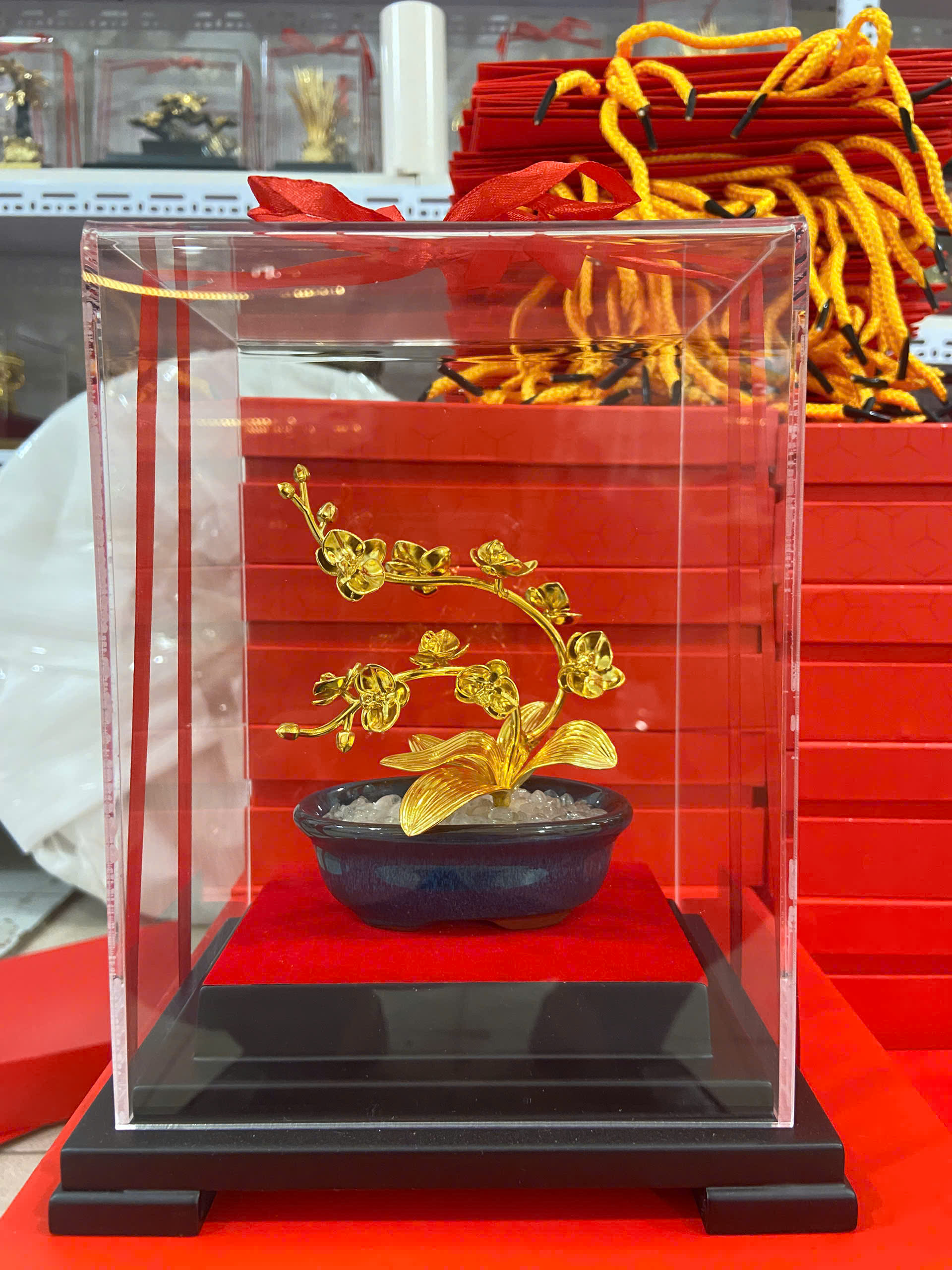 Chậu hoa lan hồ điệp chậu xanh  quà tặng mạ vàng 24k KT CAO 22CM _thumbnail_2