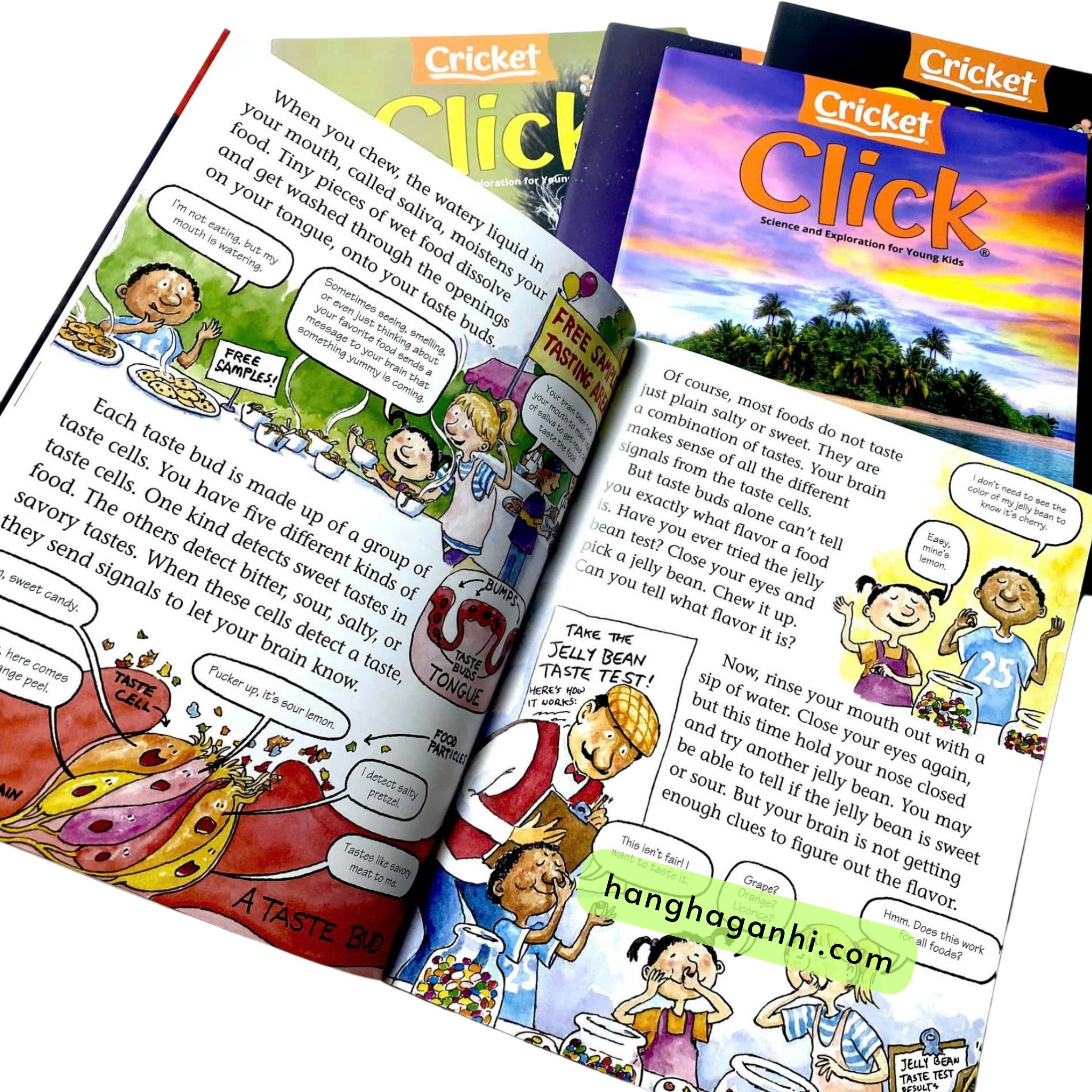 Bộ 9 cuốn tạp chí khoa học Click Tiếng Anh sách nhập khẩu, kèm file nghe_thumbnail_6