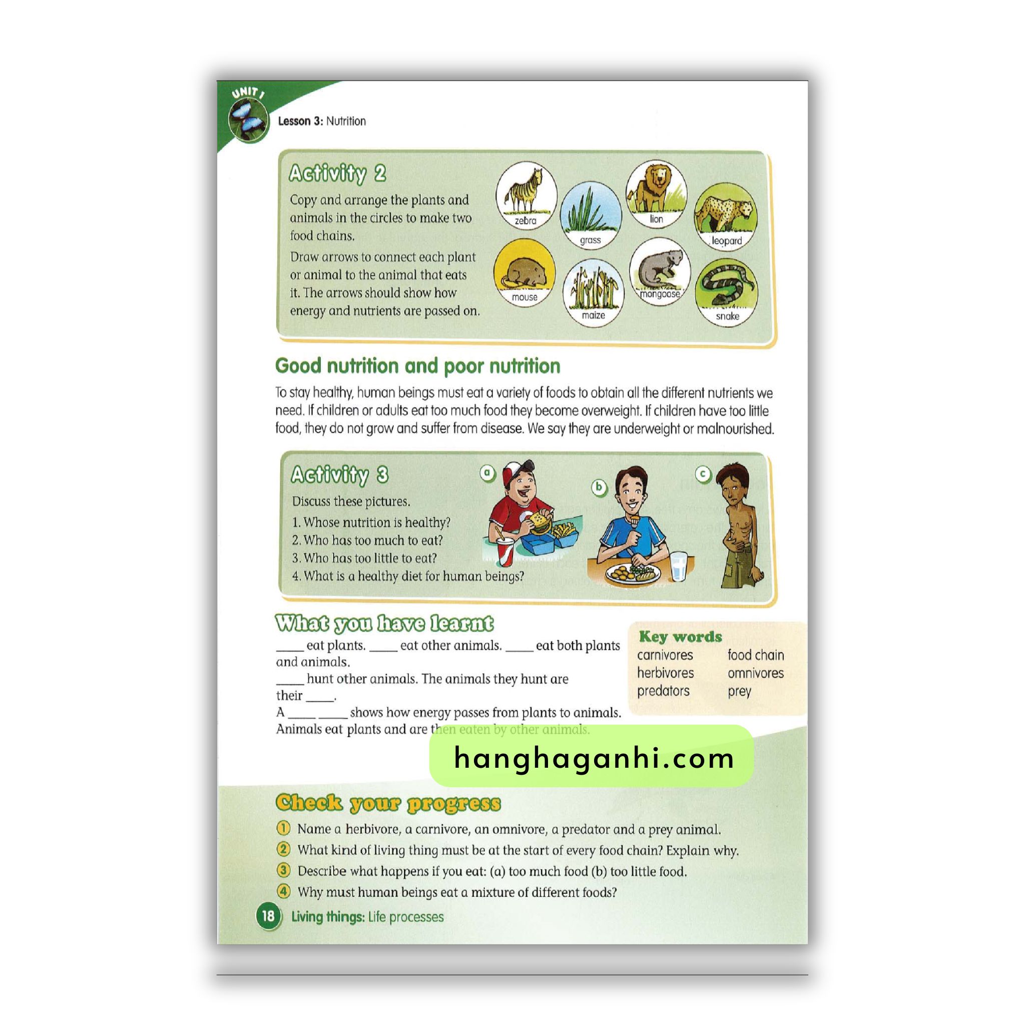 Macmillan Science 4 Pupil’s book_thumbnail_16